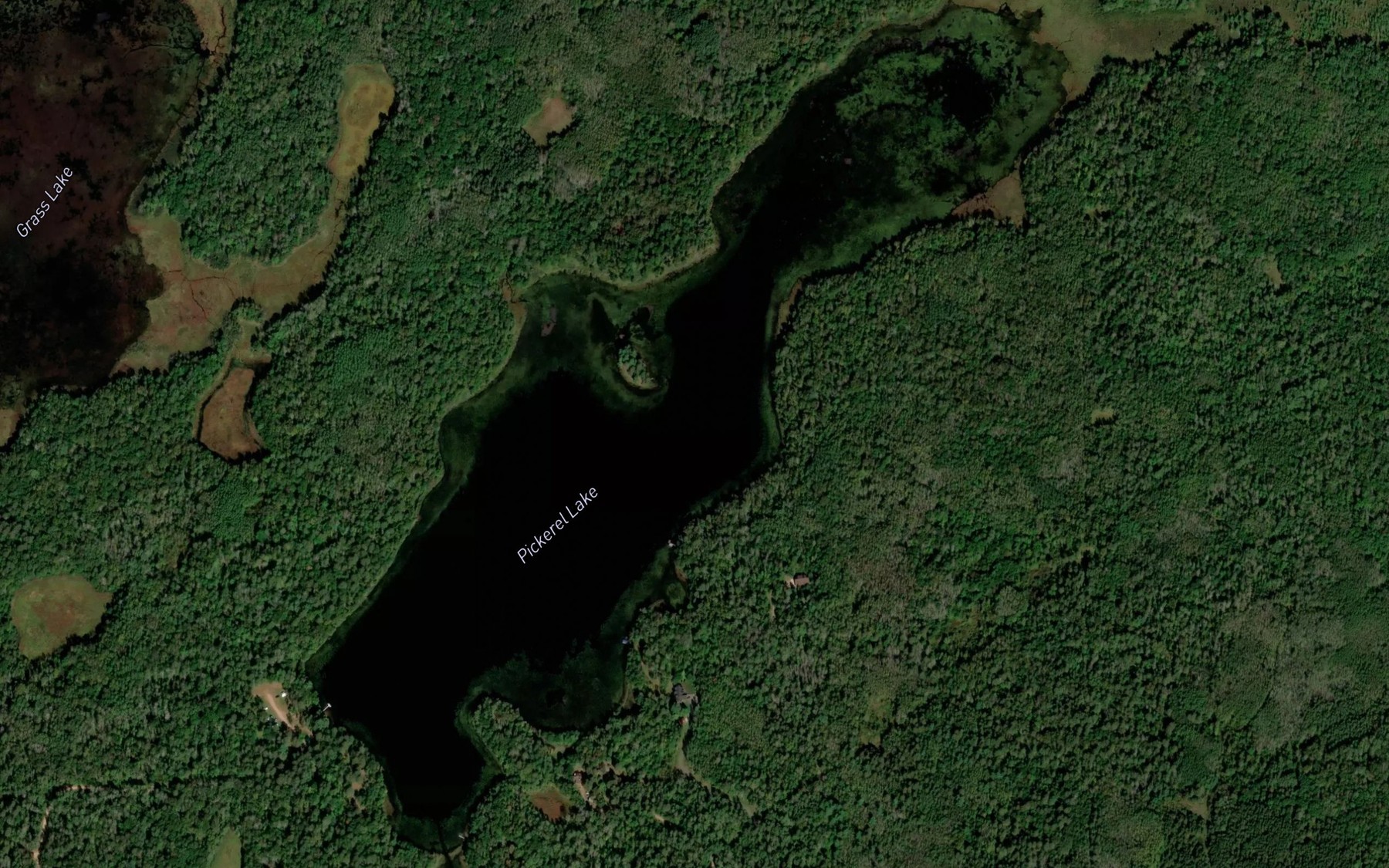 Satellite map of the Pickerel Lake