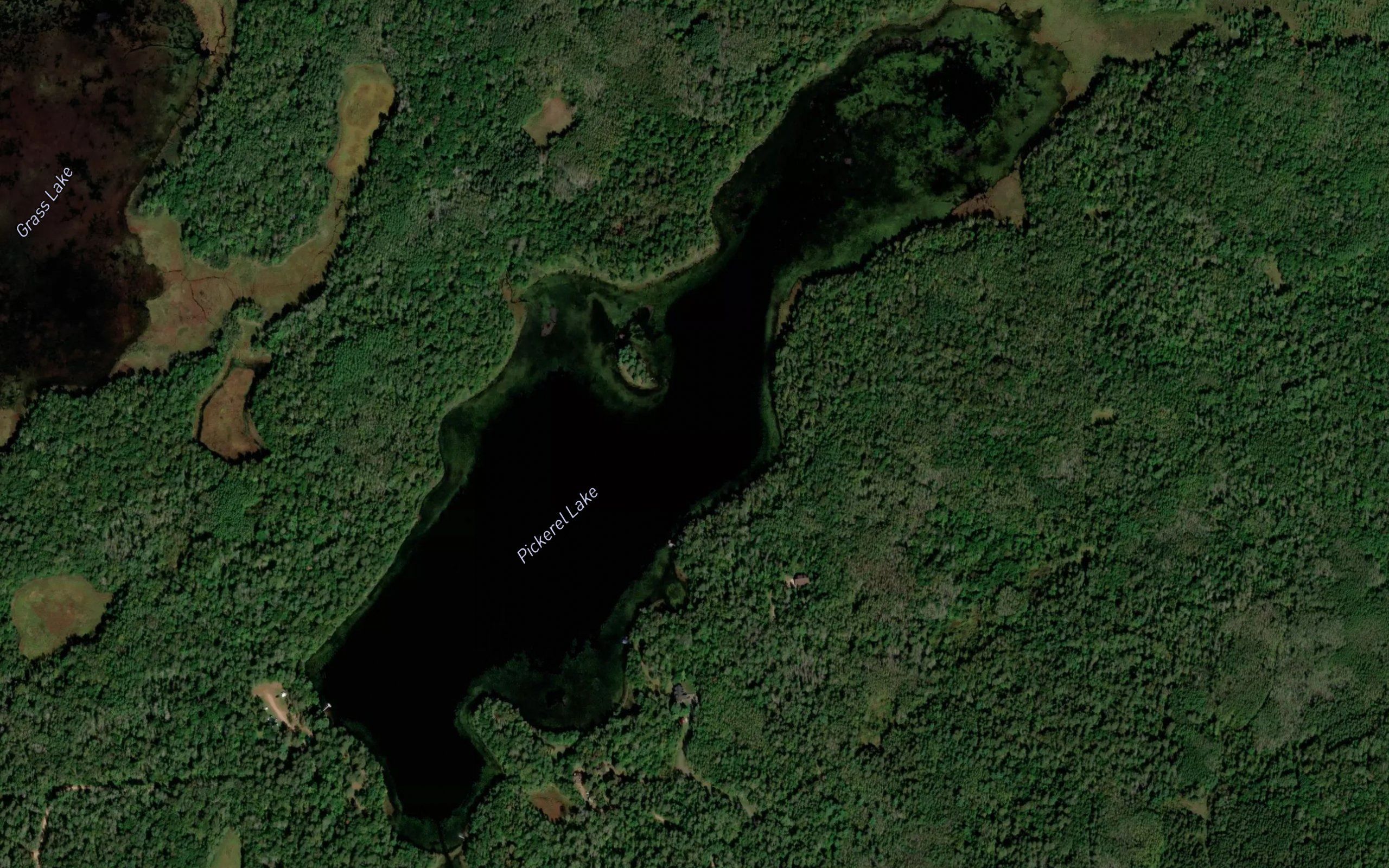 Pickerel Lake