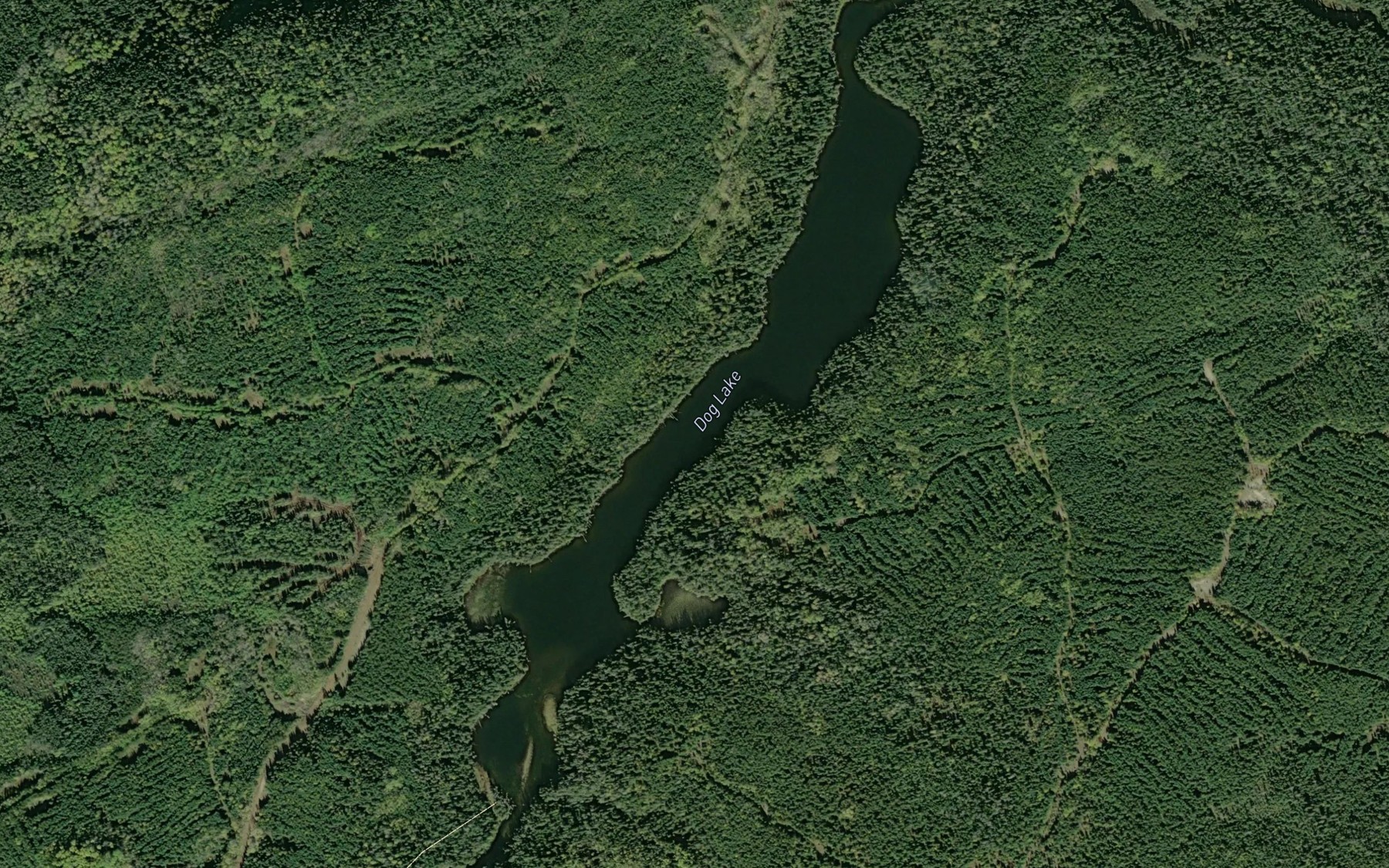 Satellite map of the Dog Lake