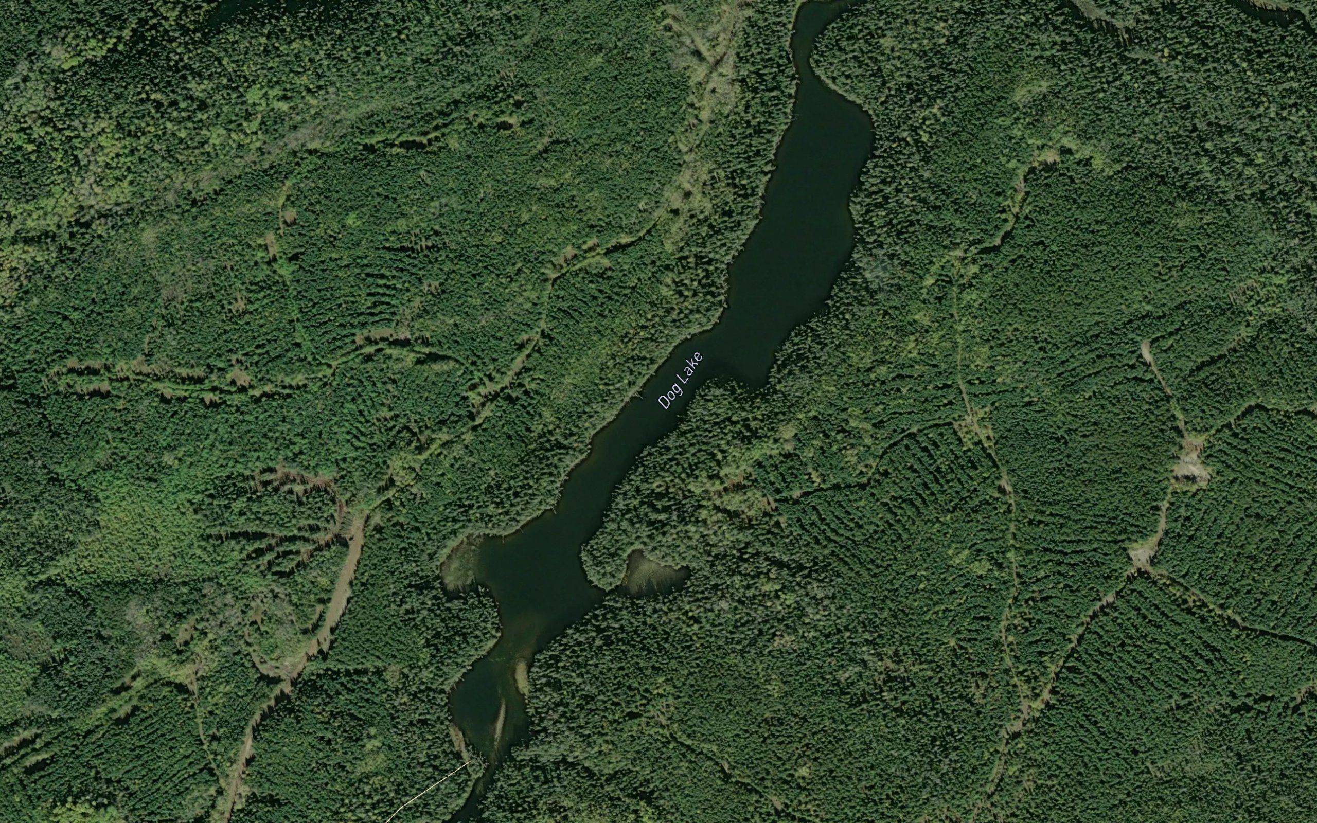 Dog Lake