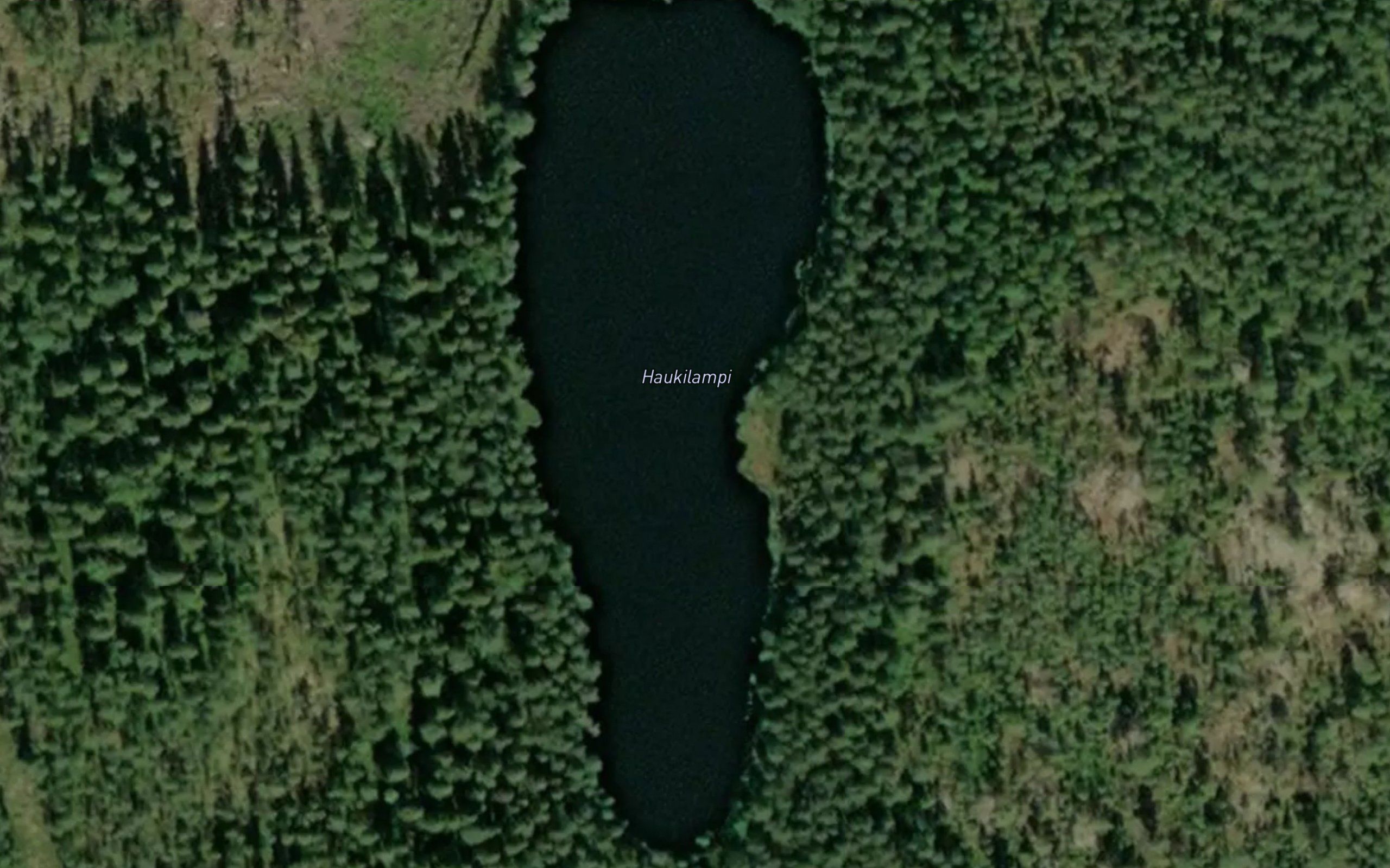Haukilampi