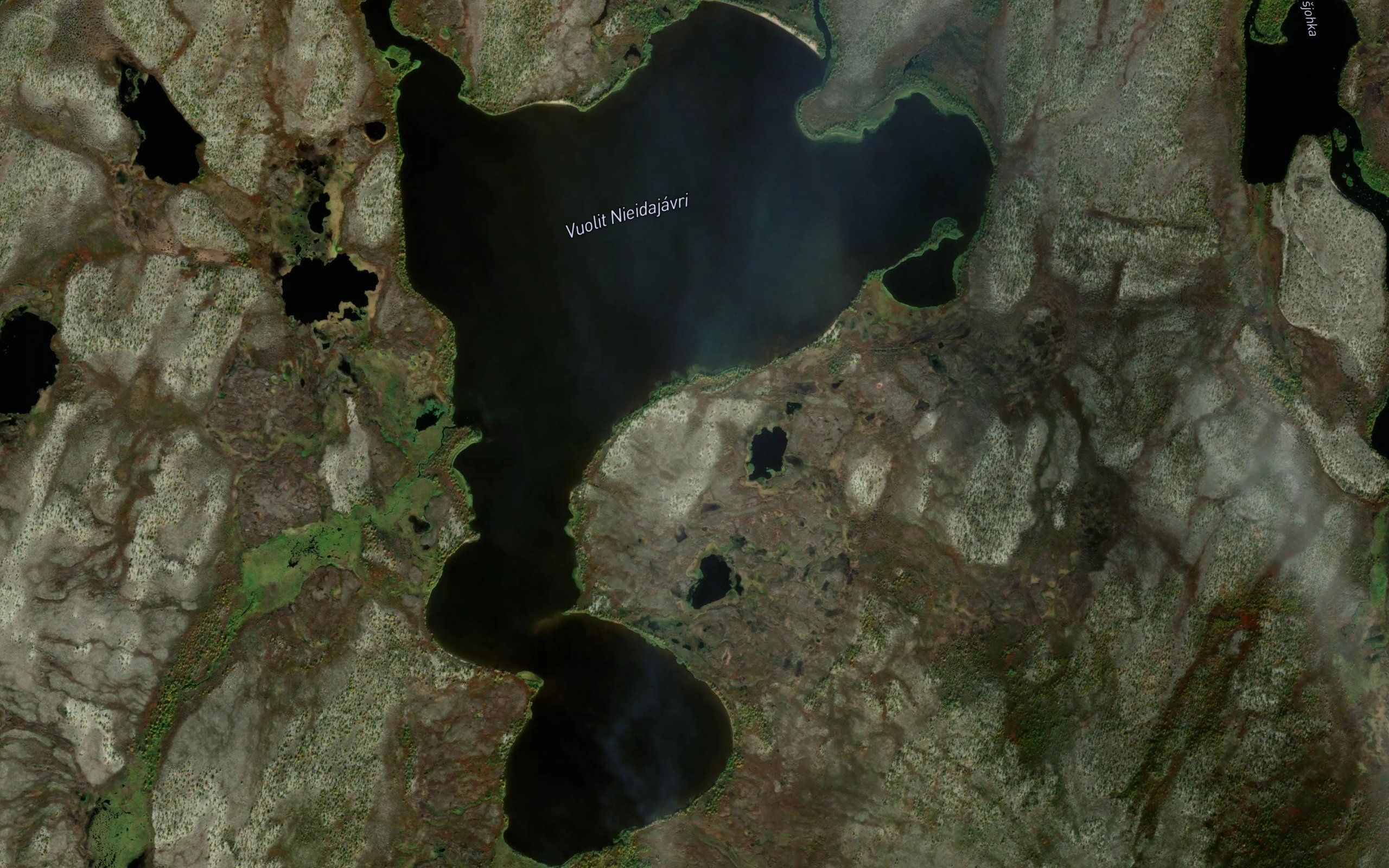 Nieidajavri,vuolit