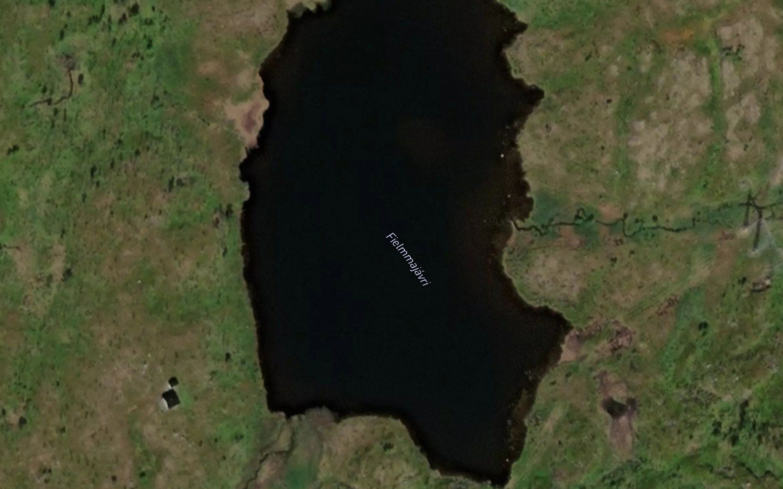 Fielmmajavri