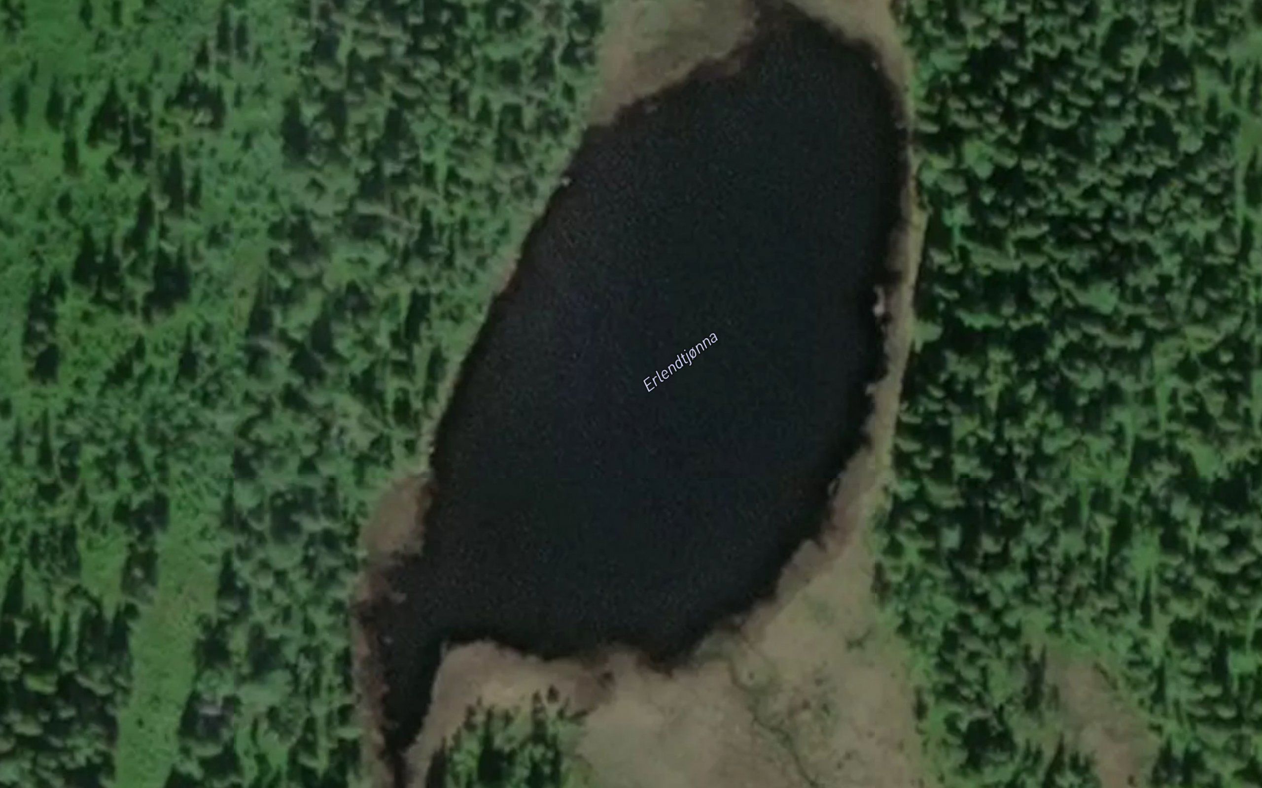 Erlendtjorna
