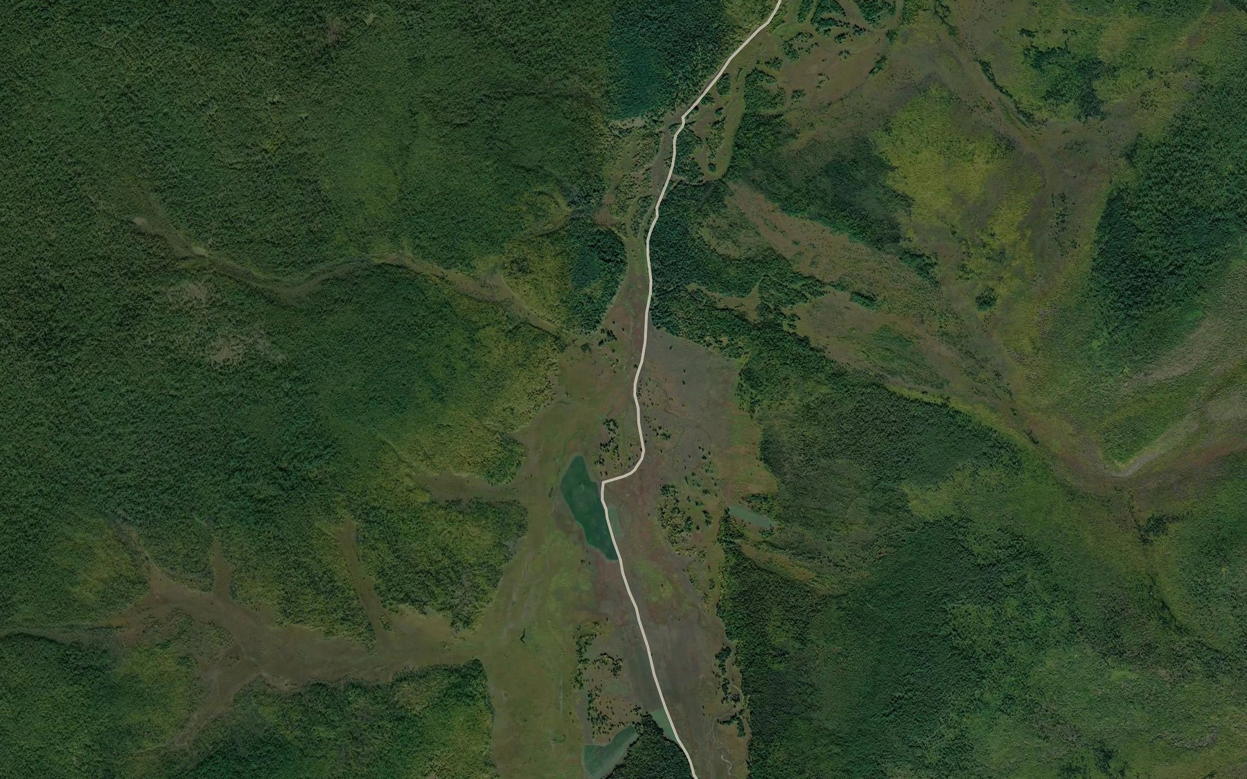 Satellite map of the Kamennyy