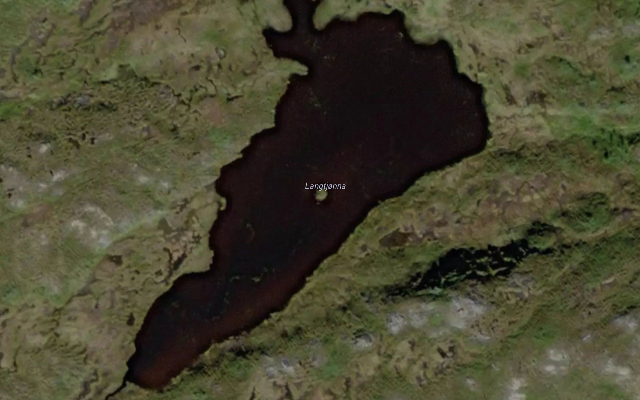 Langtjorna