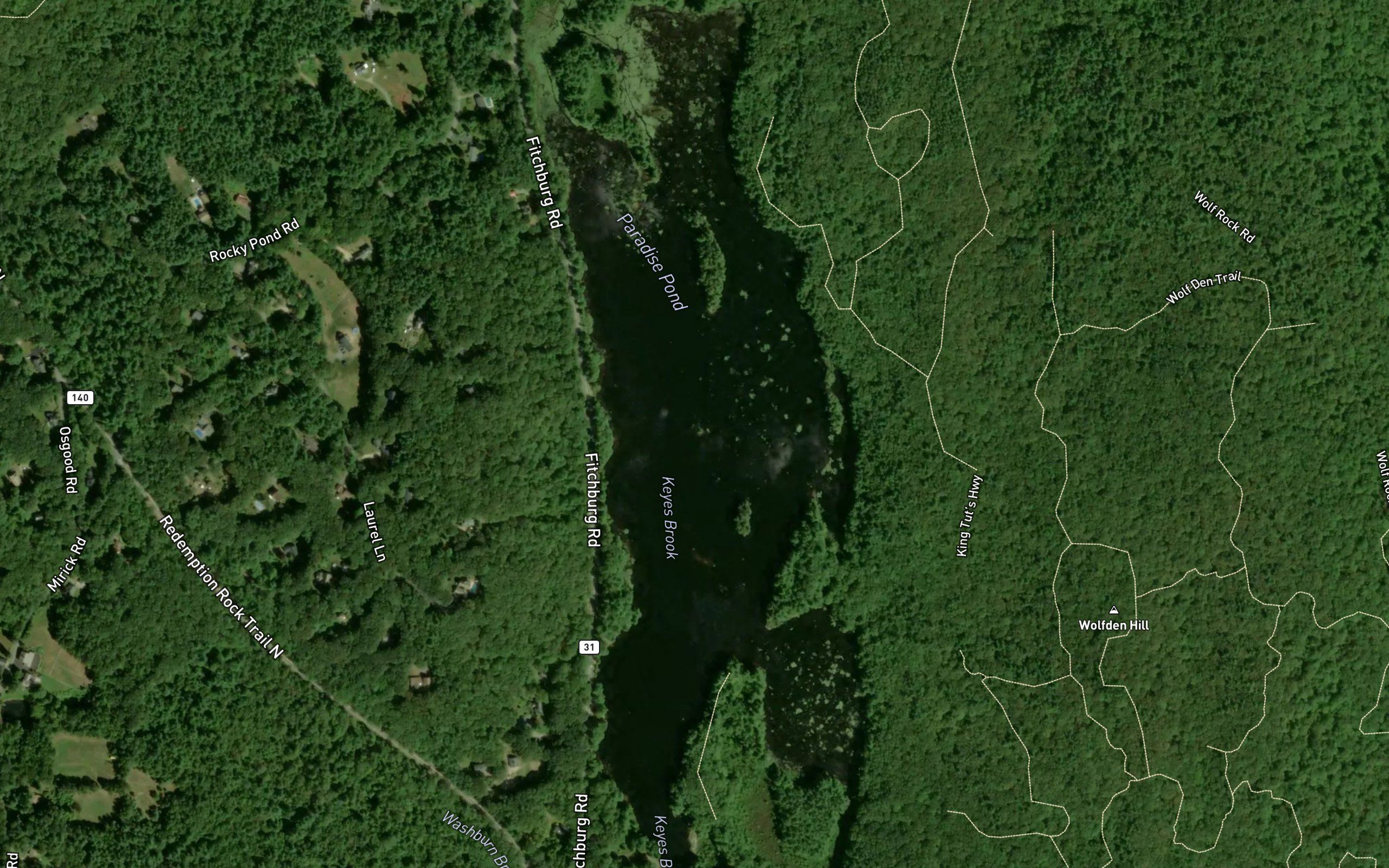 Paradise Pond