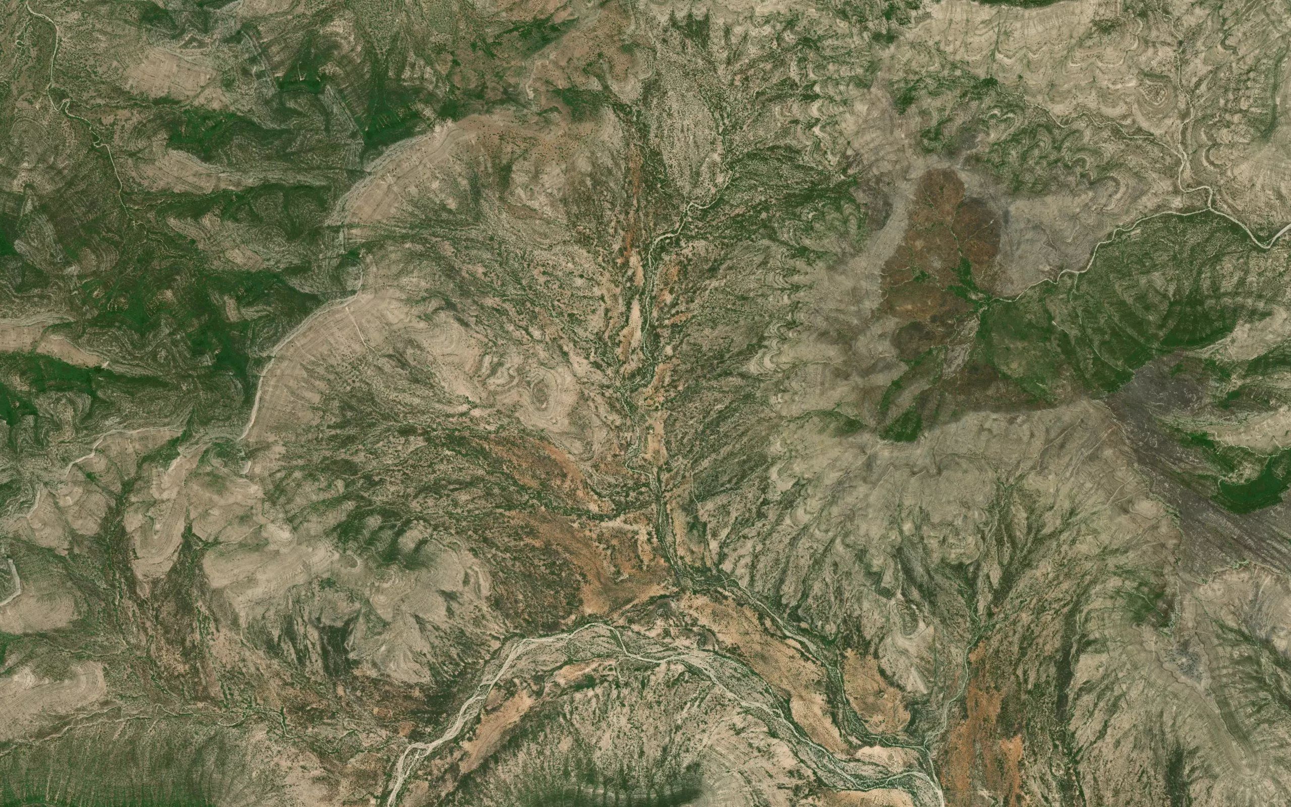 El Pino