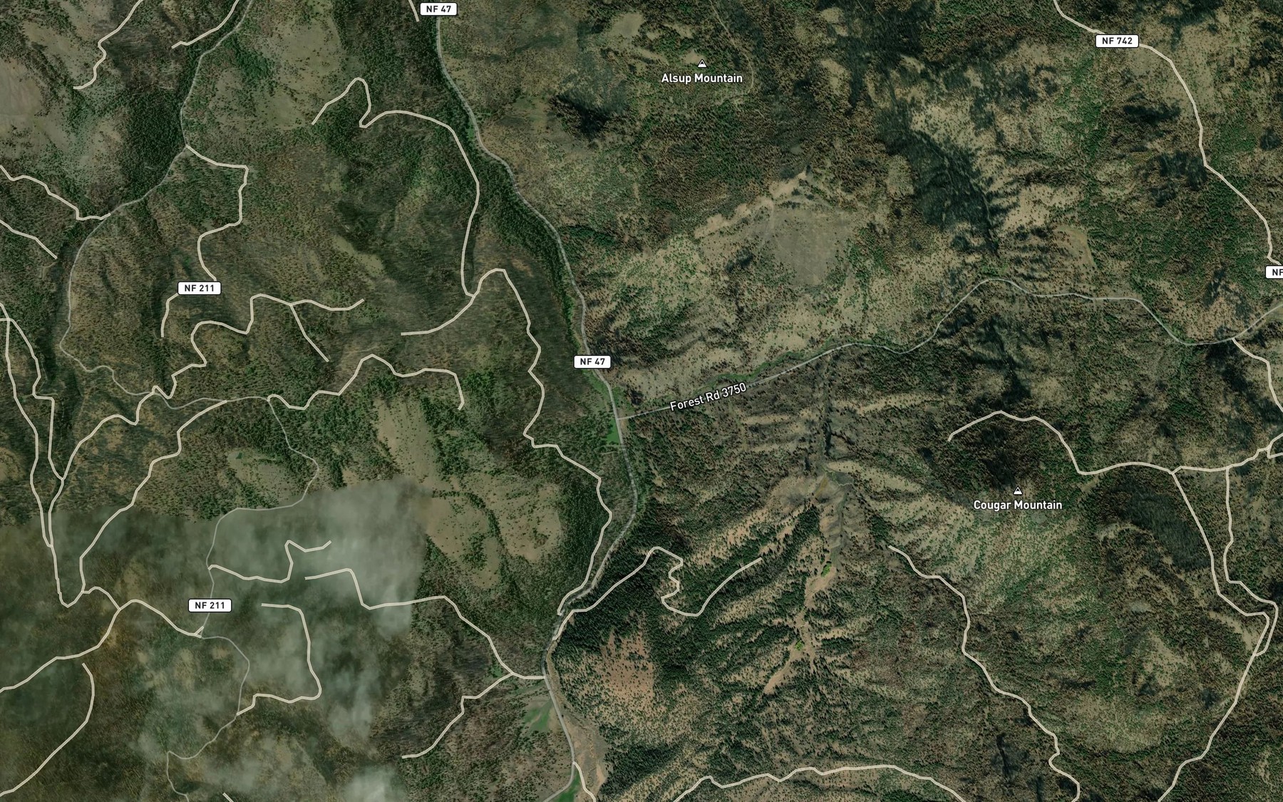 Satellite map of the Bear Creek