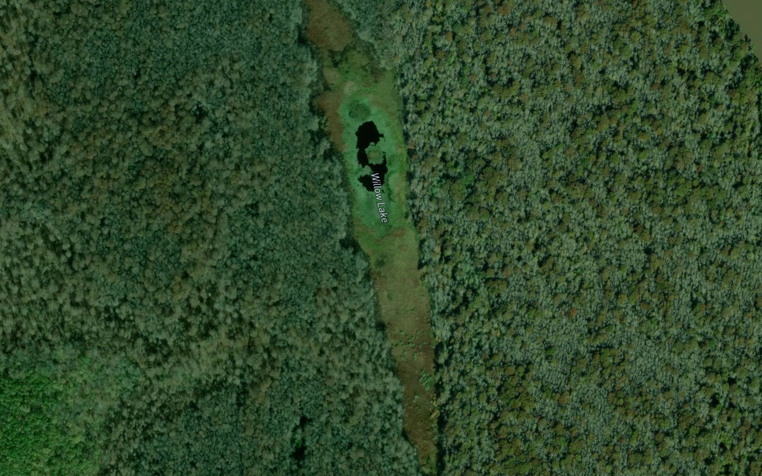 Willow Lake