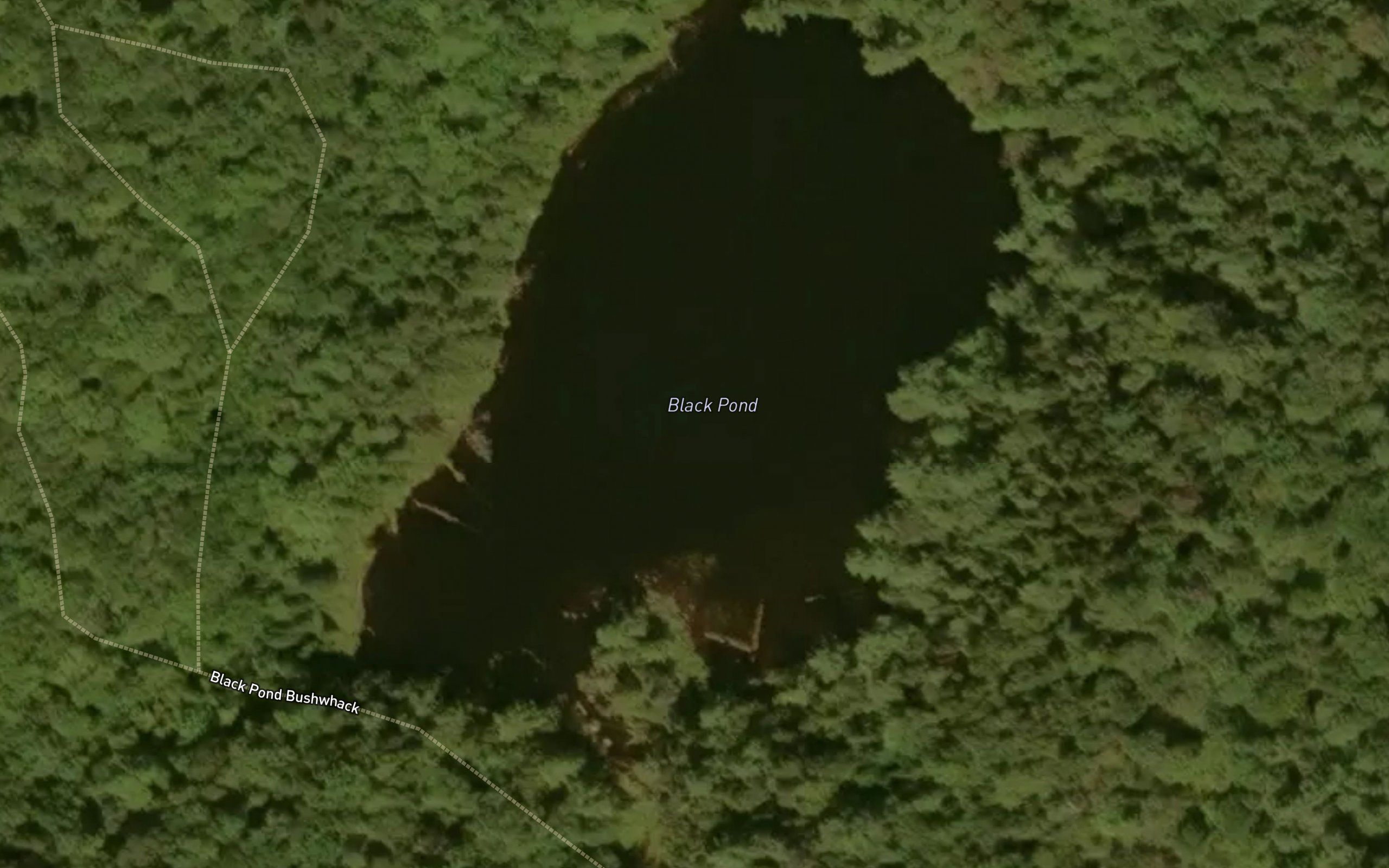 Black Pond