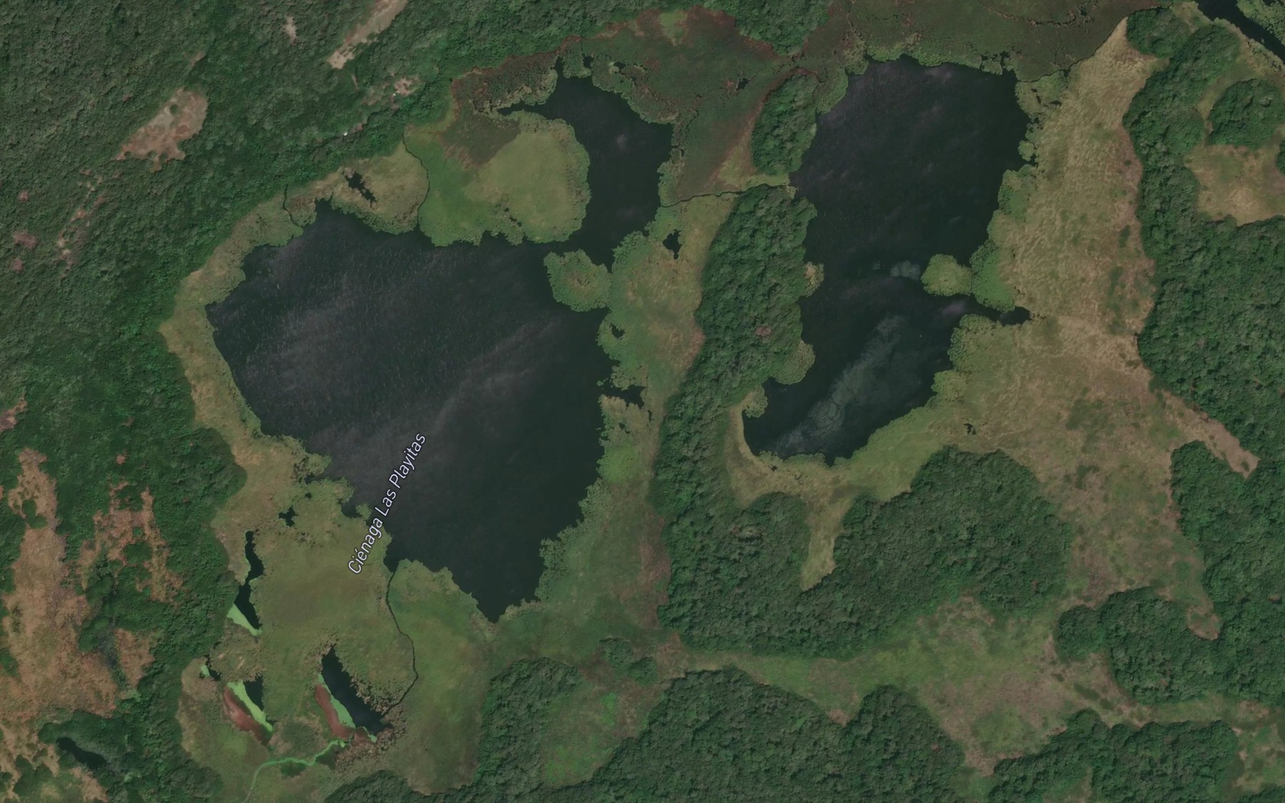 Satellite map of the Cienaga Las Playitas