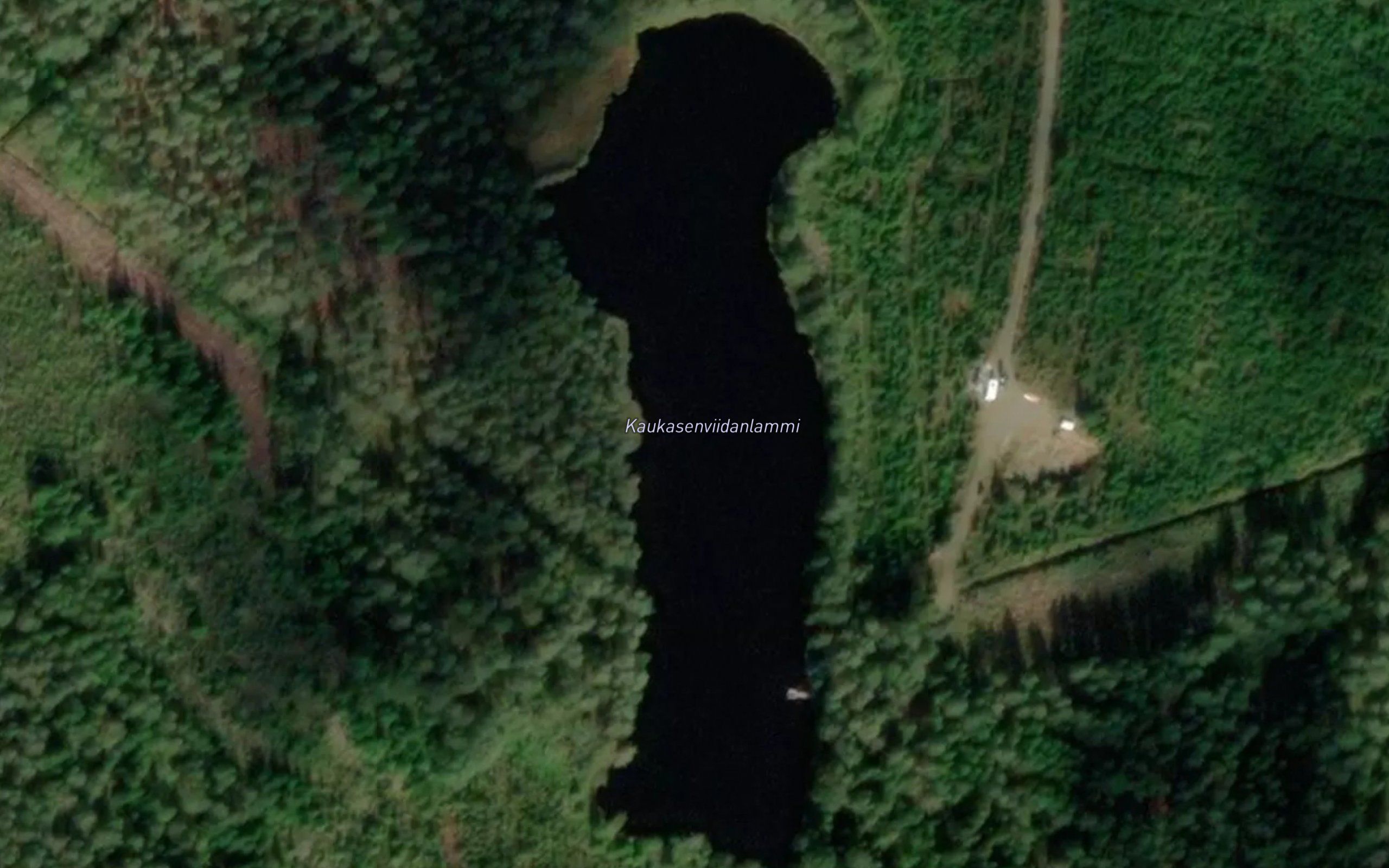 Kaukasenviidanlammi