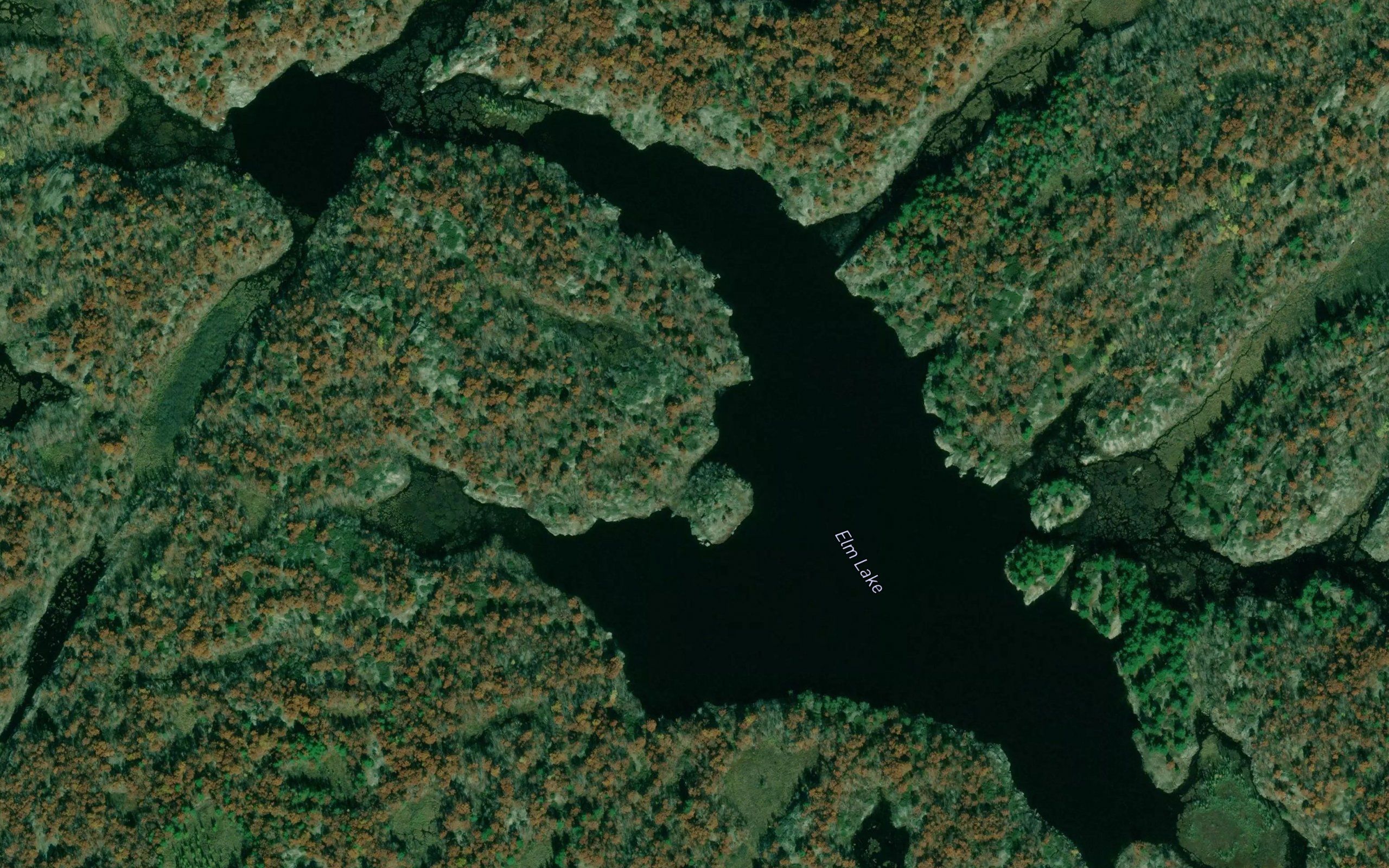 Elm Lake