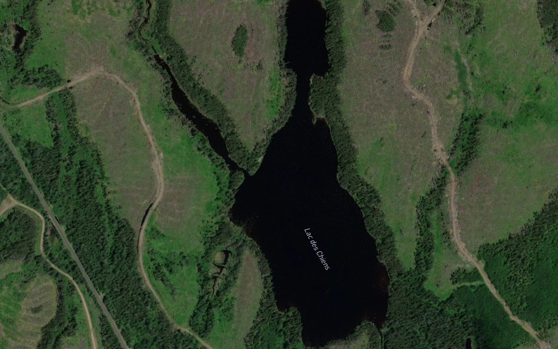 Satellite map of the Lac des Chiens