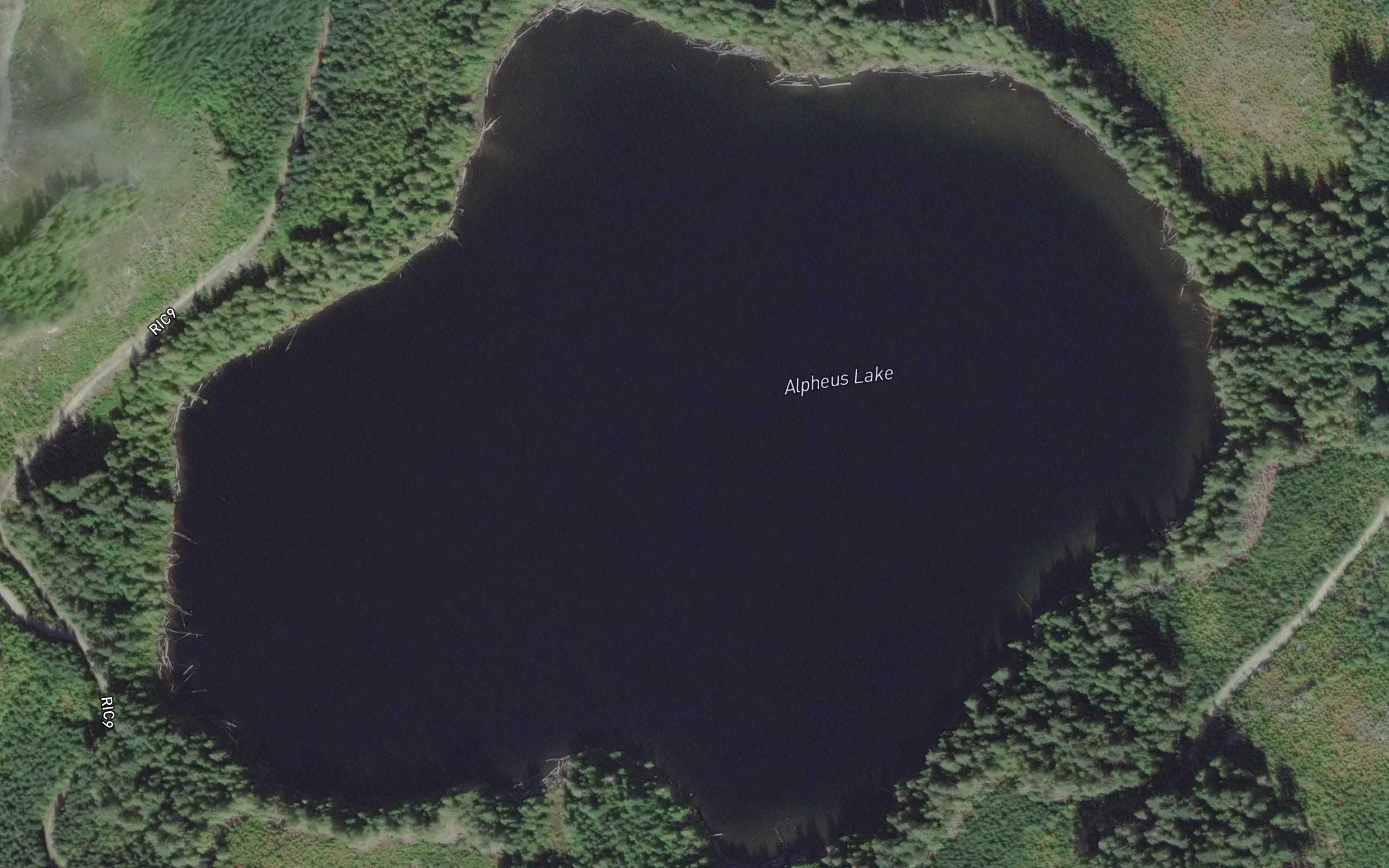 Alpheus Lake