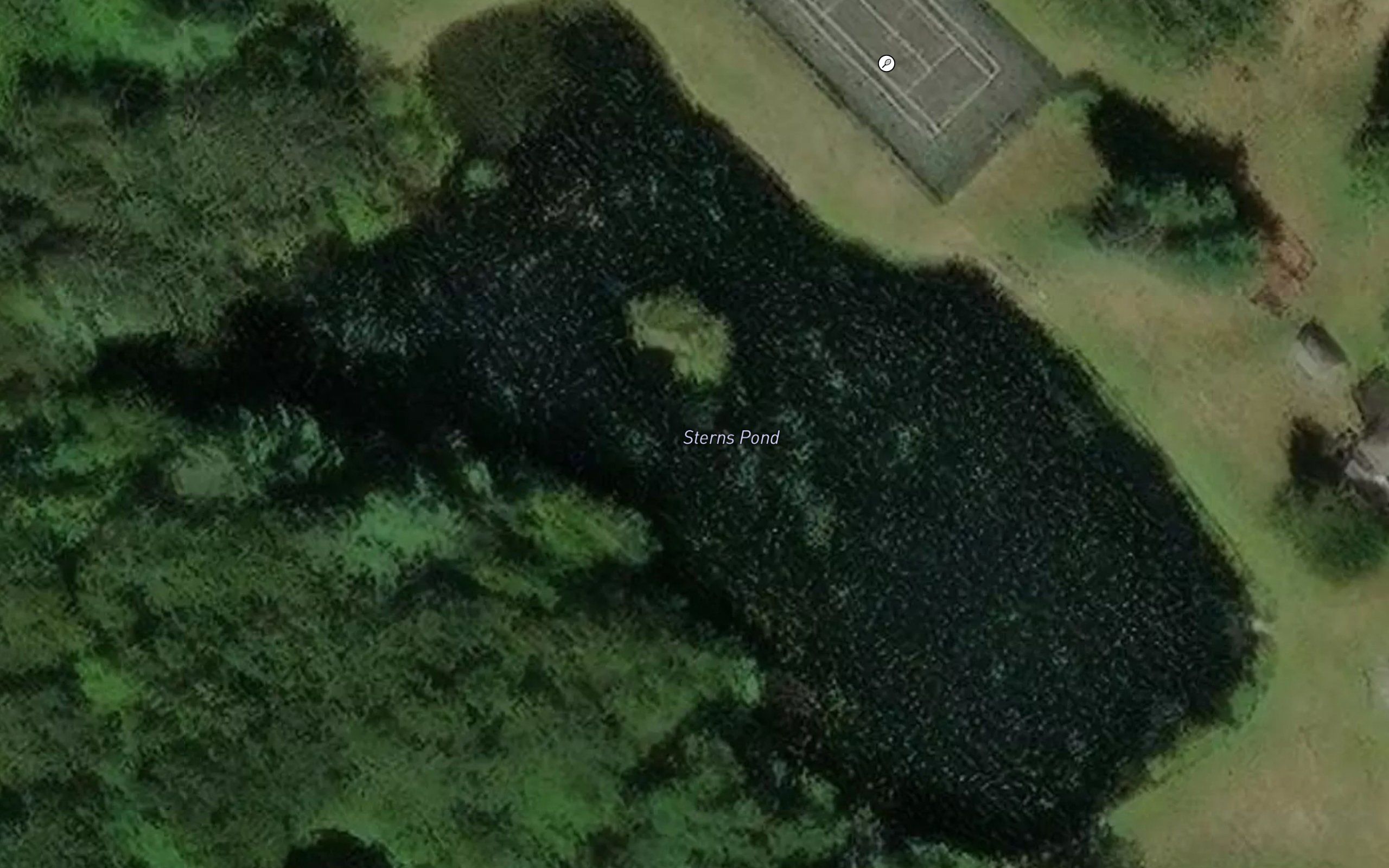 Sterns Pond