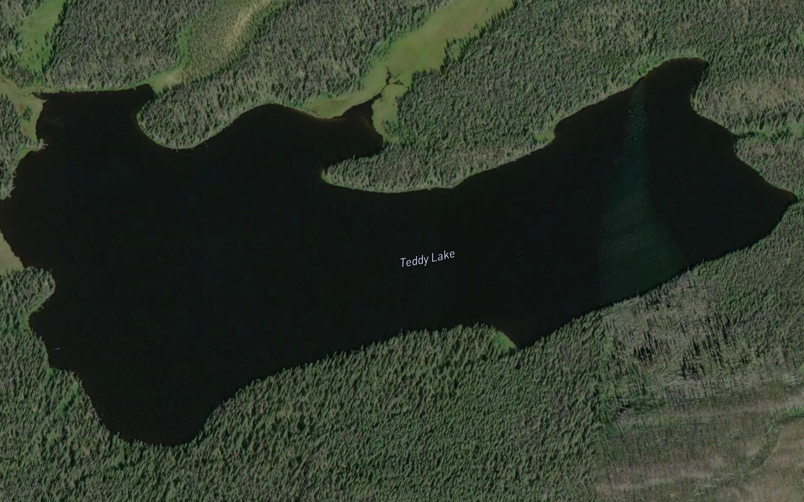 Teddy Lake