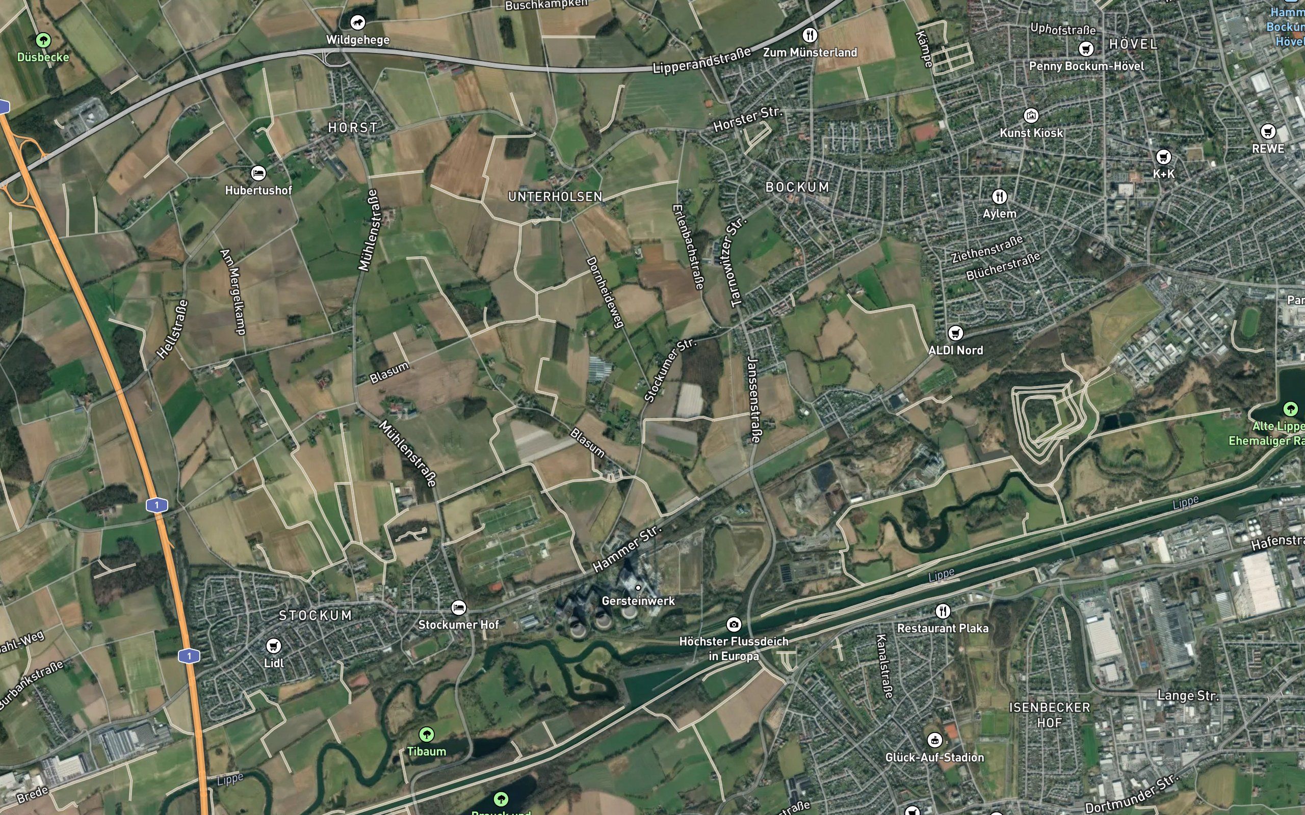 Lausbach