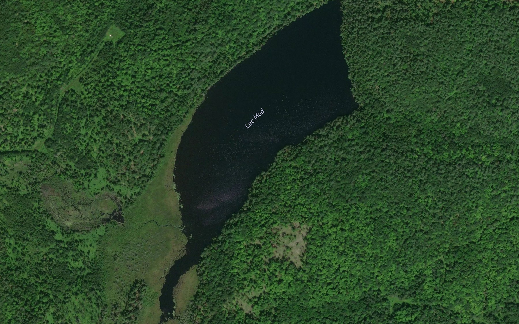 Satellite map of the Lac Mud