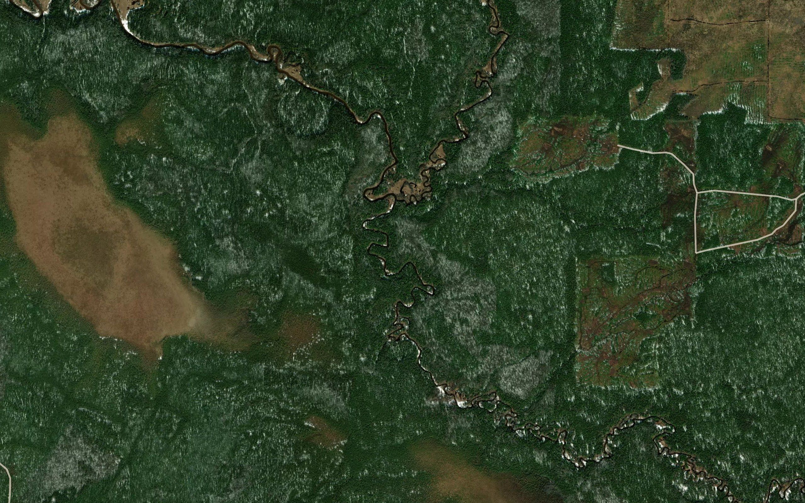 Zimnyaya
