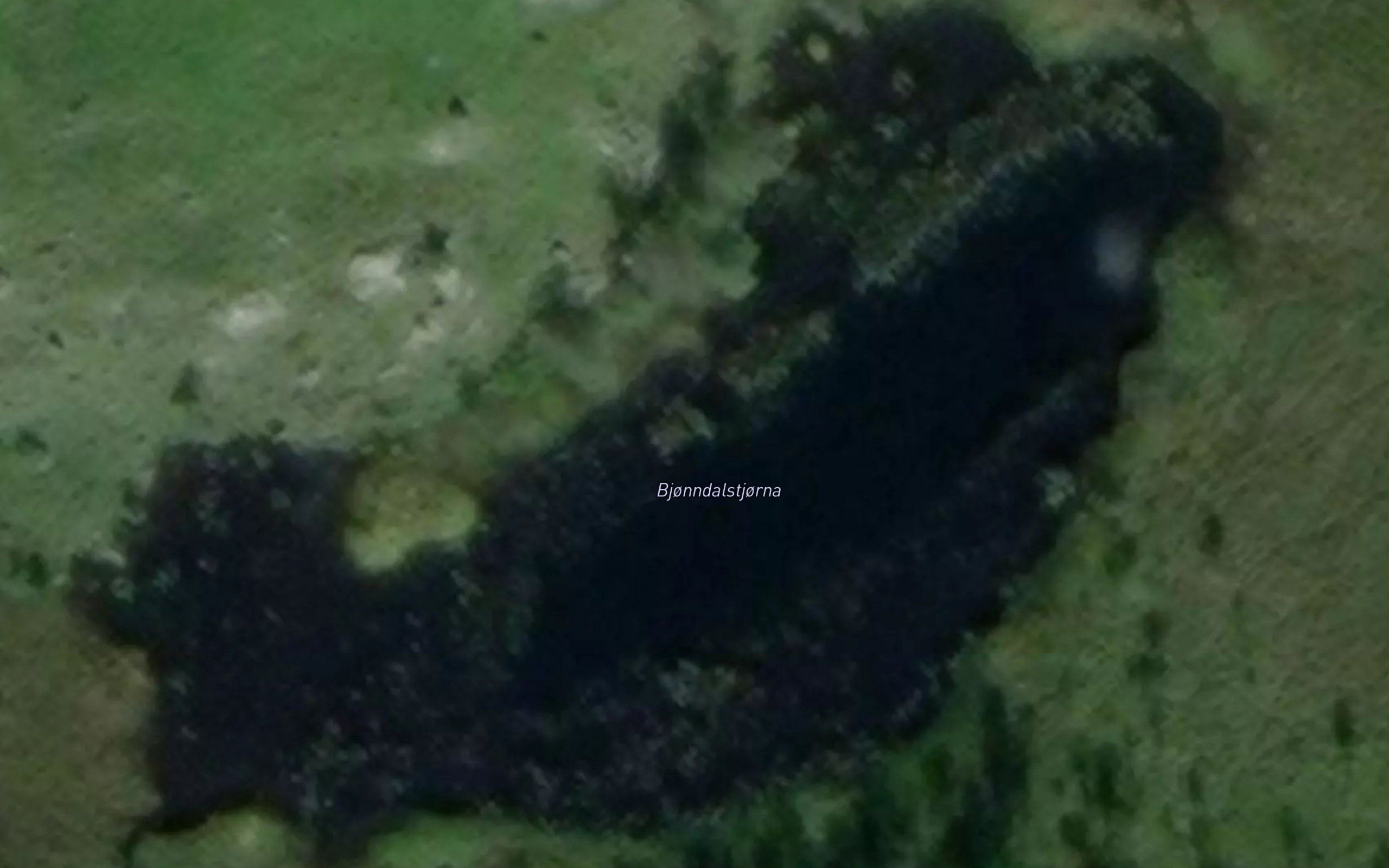 Bjonndalstjorna