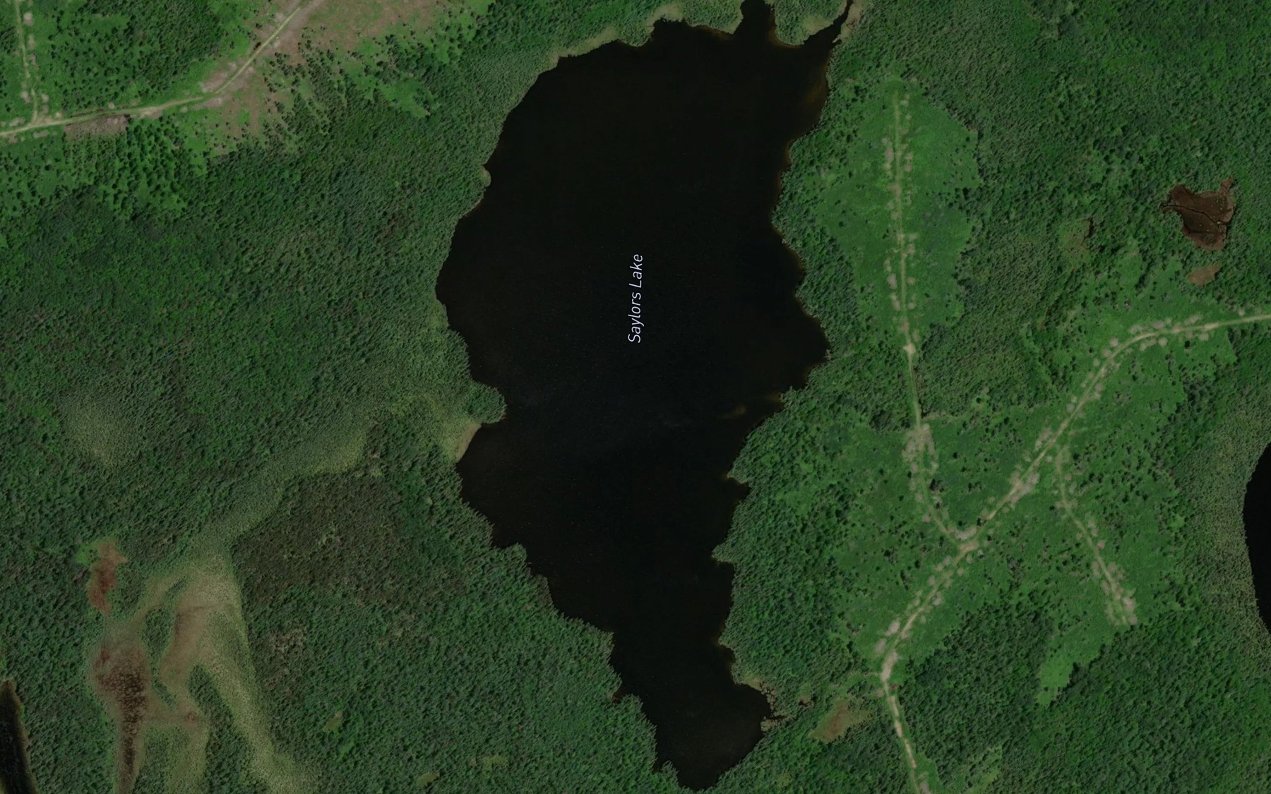 Satellite map of the Saylors Lake