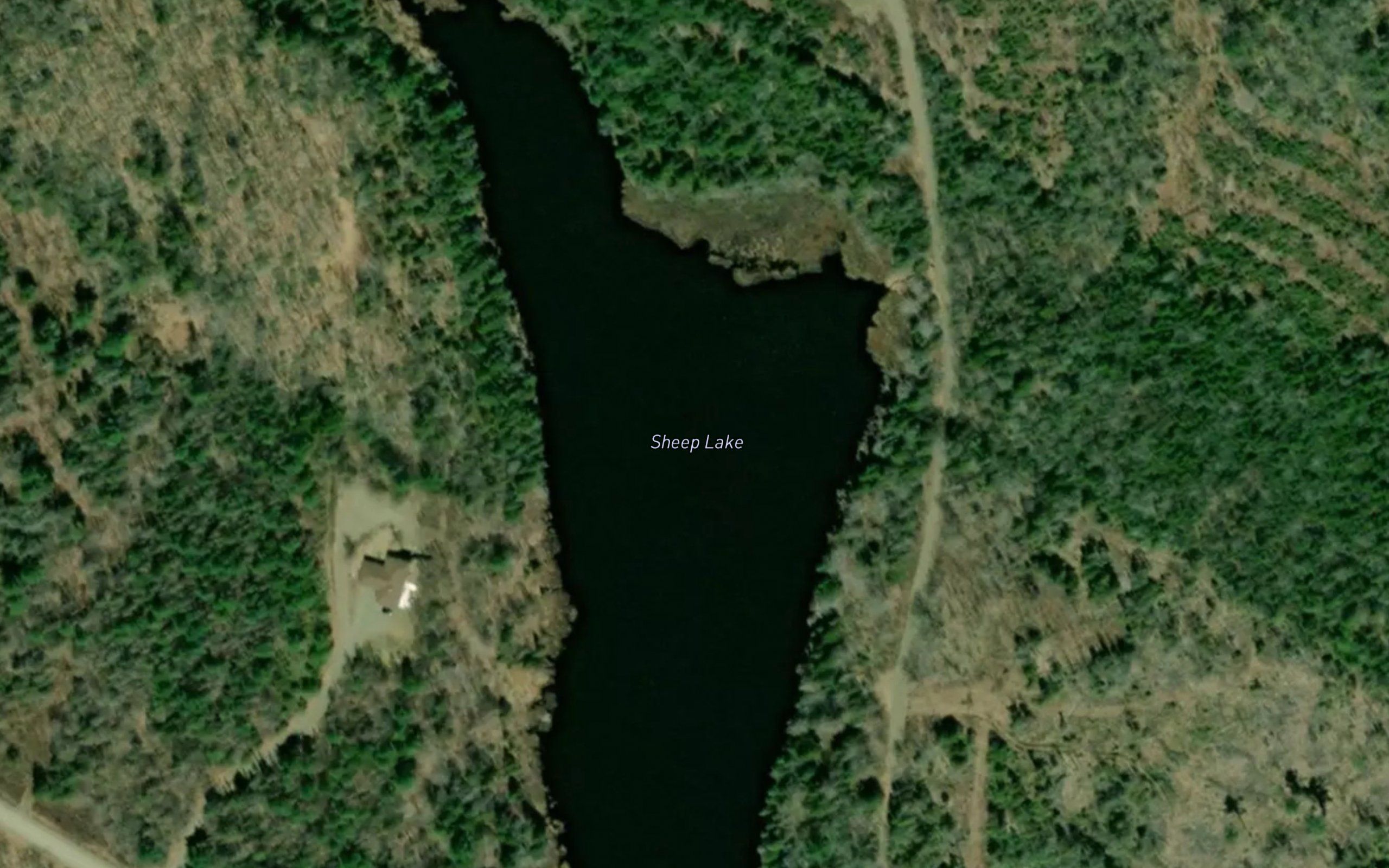 Sheep Lake
