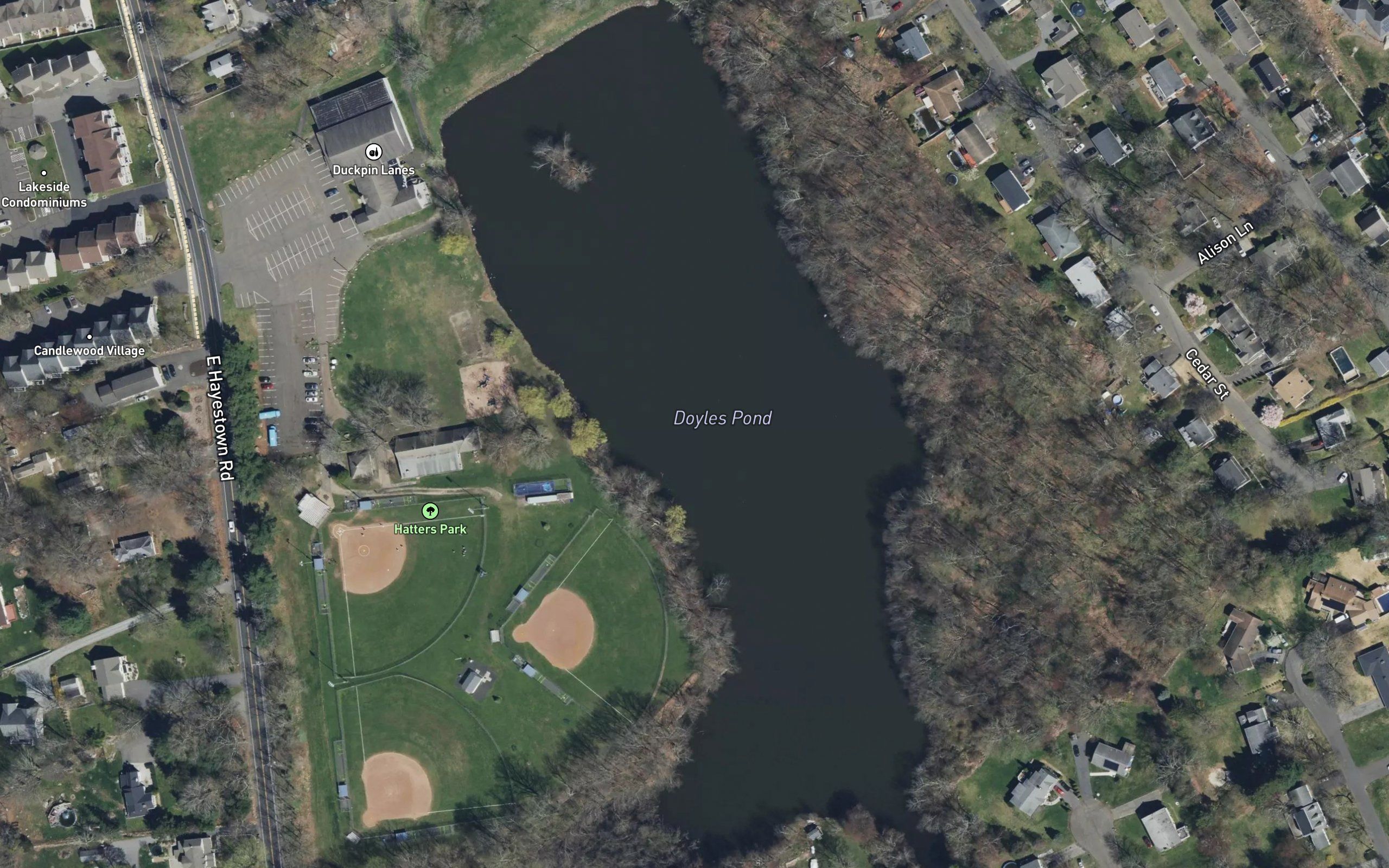 Doyles Pond