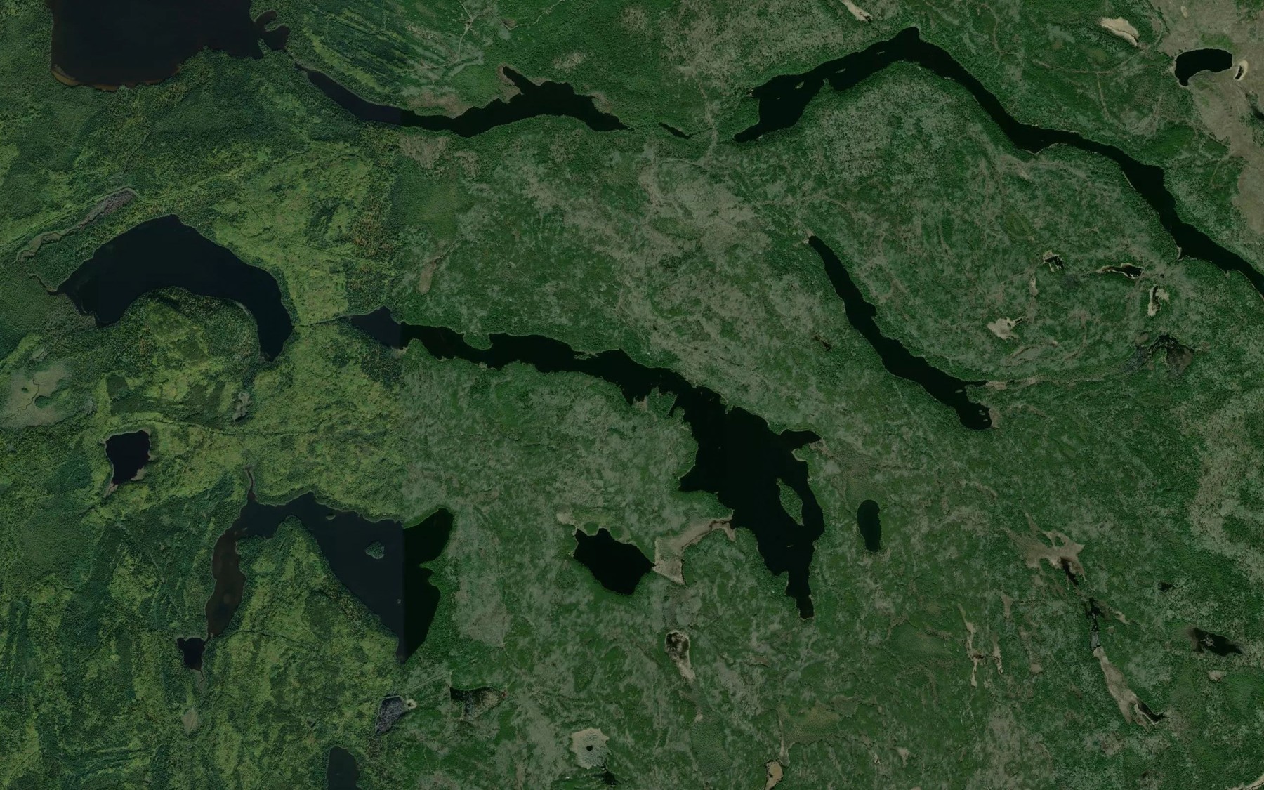 Satellite map of the Ripple Lake