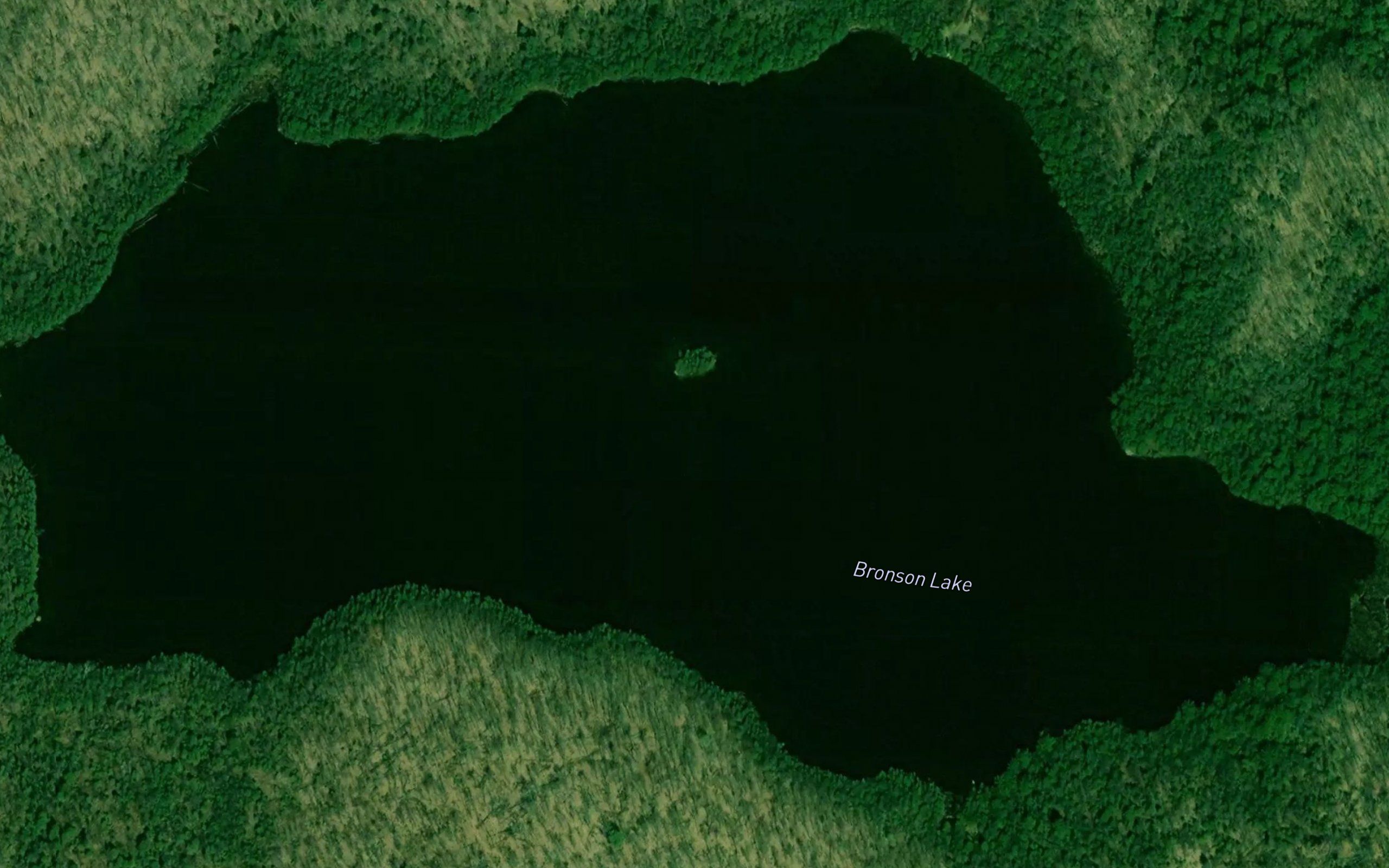Bronson Lake