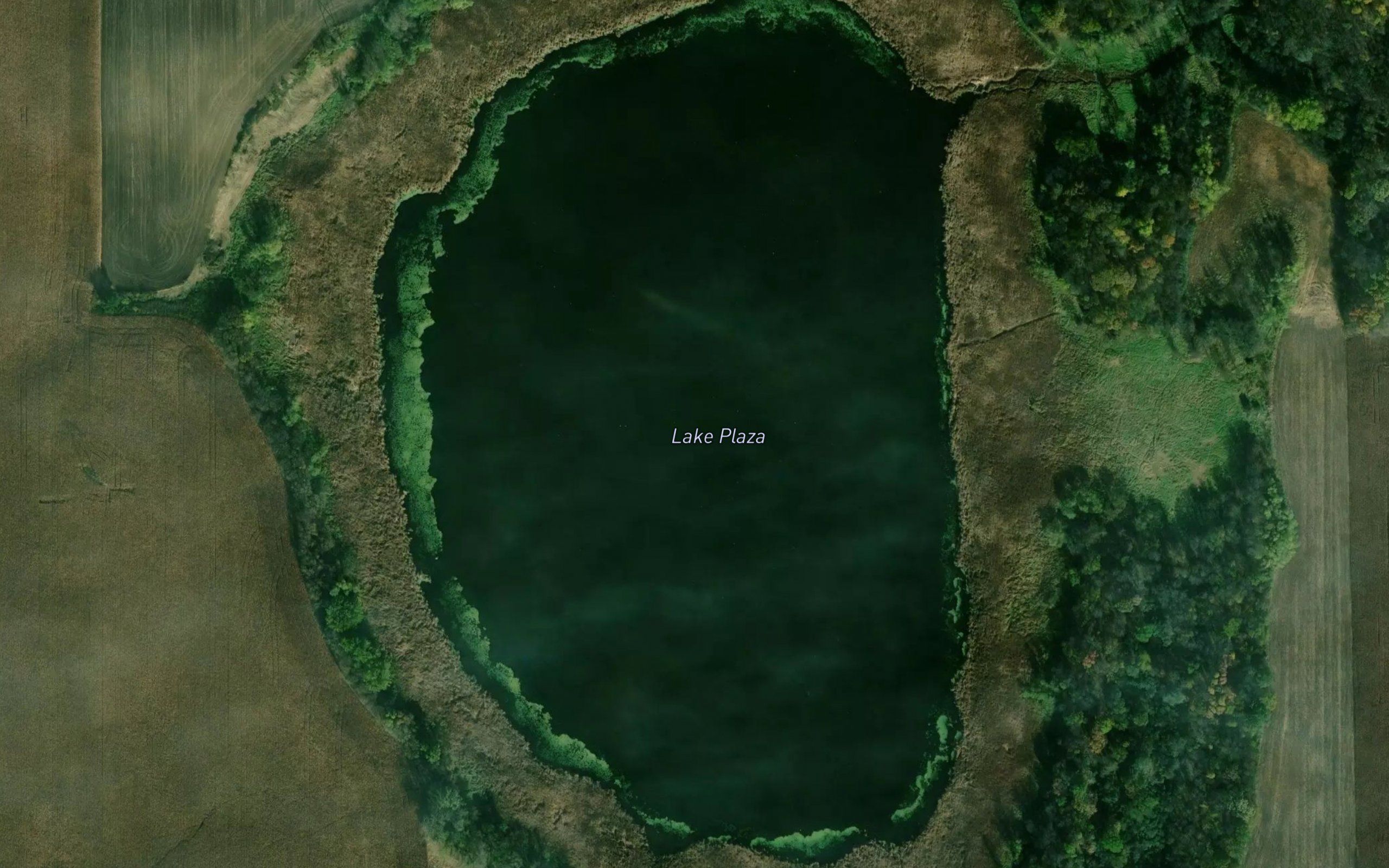 Lake Plaza