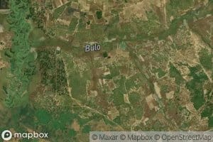 Bulo