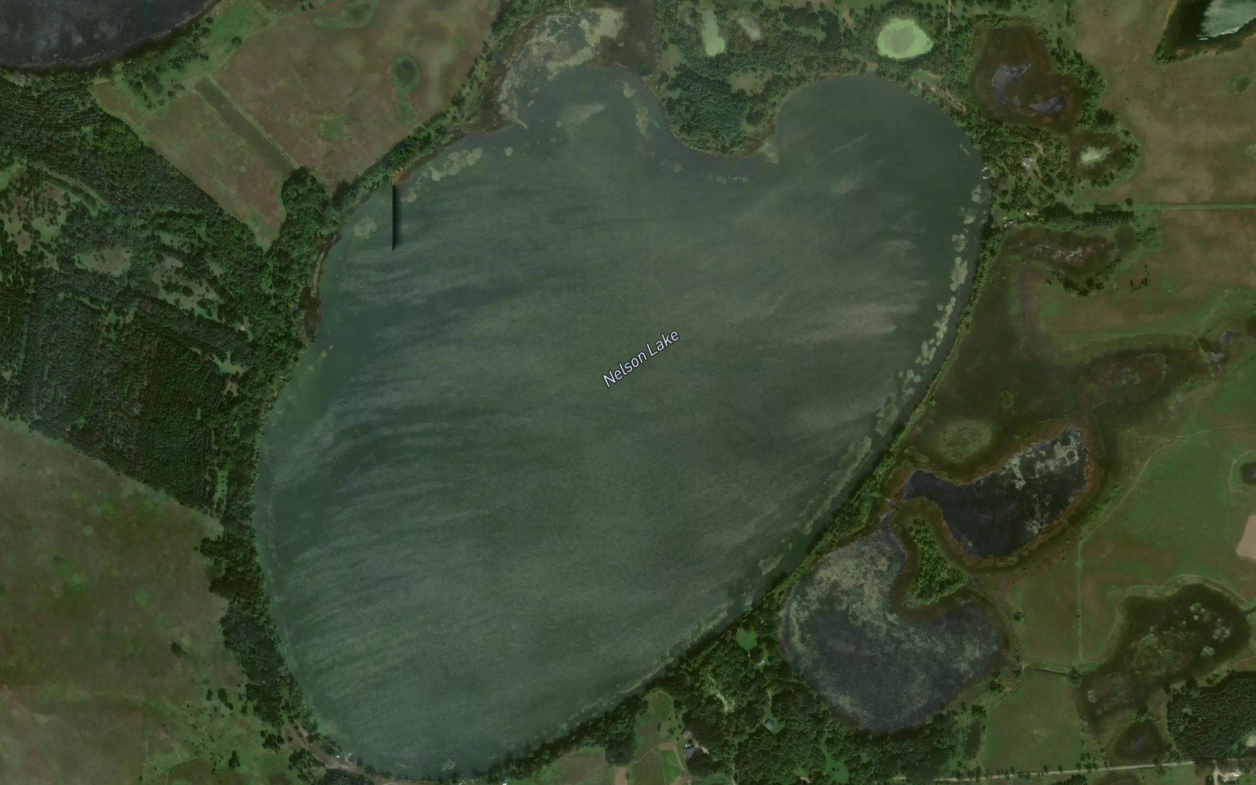 Nelson Lake