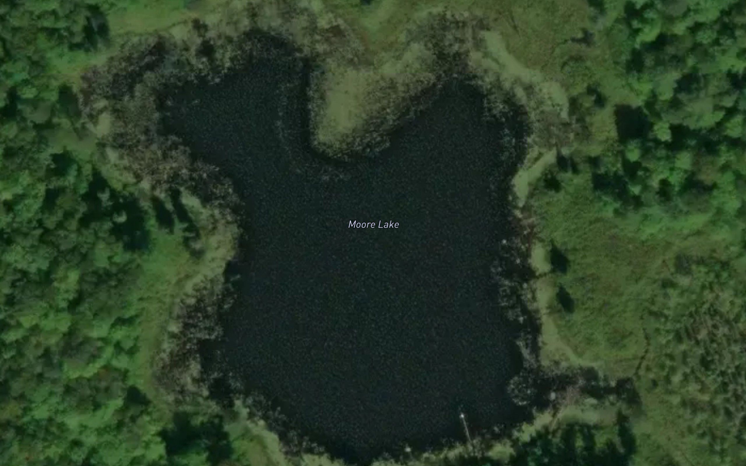 Moore Lake