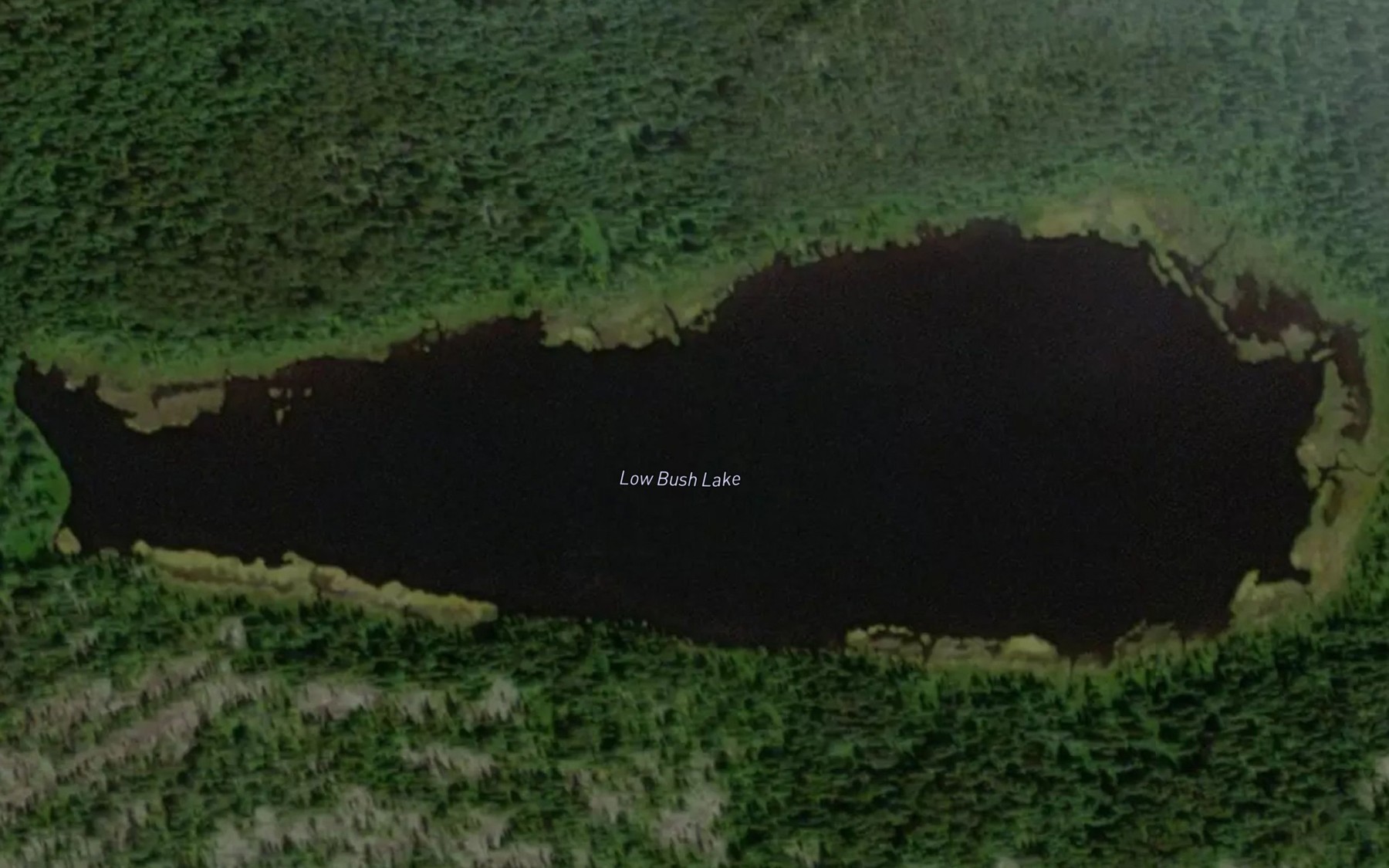 Satellite map of the Low Bush Lake
