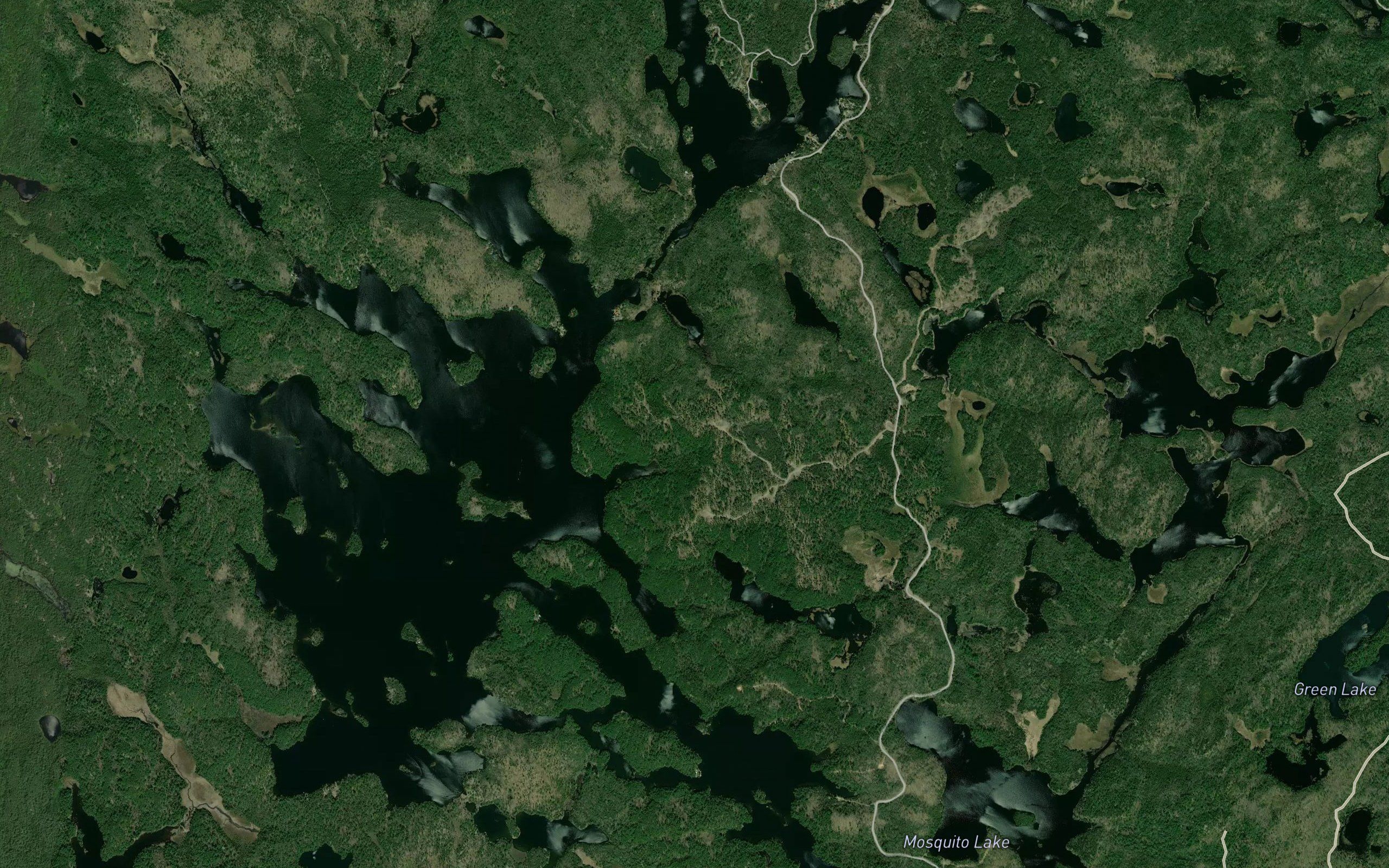 Cochrane's Bay