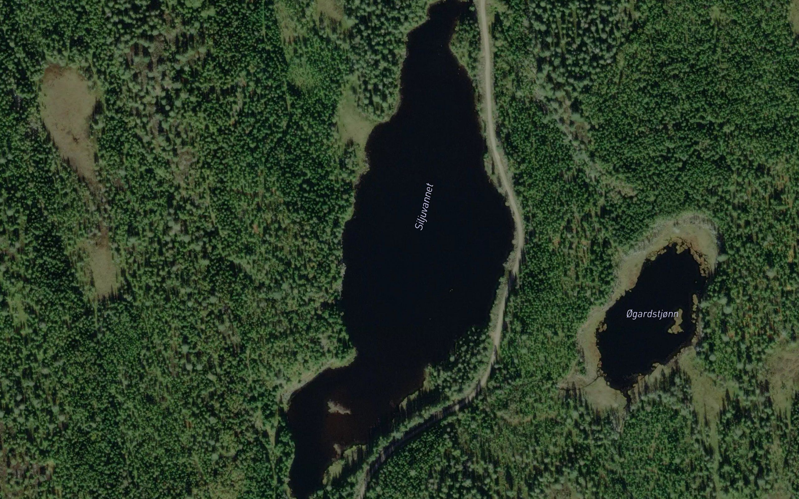Siljuvannet