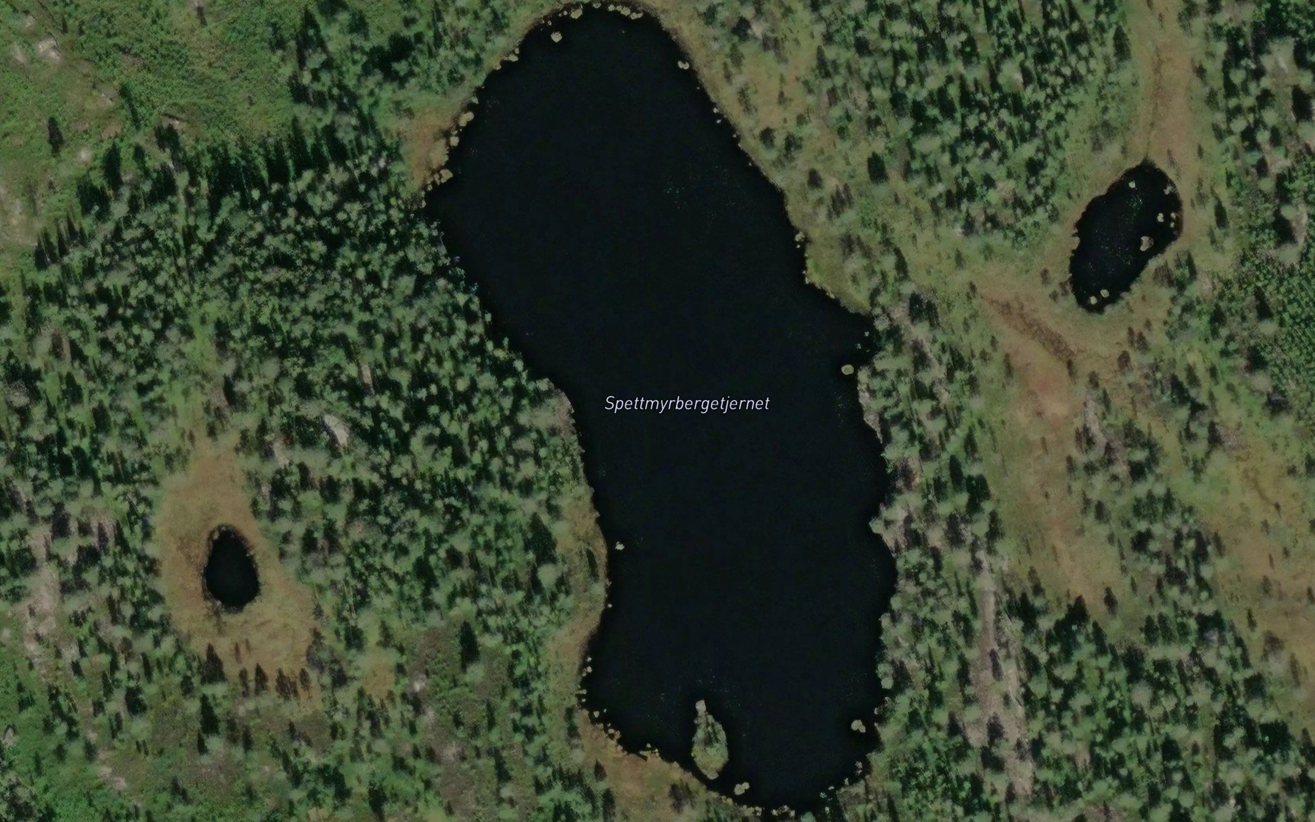 Sperttmyrbergtjernet