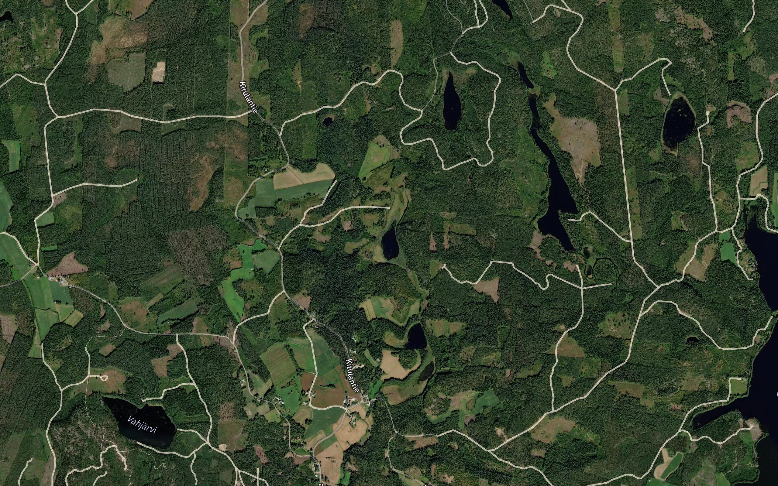 Tuokalainen