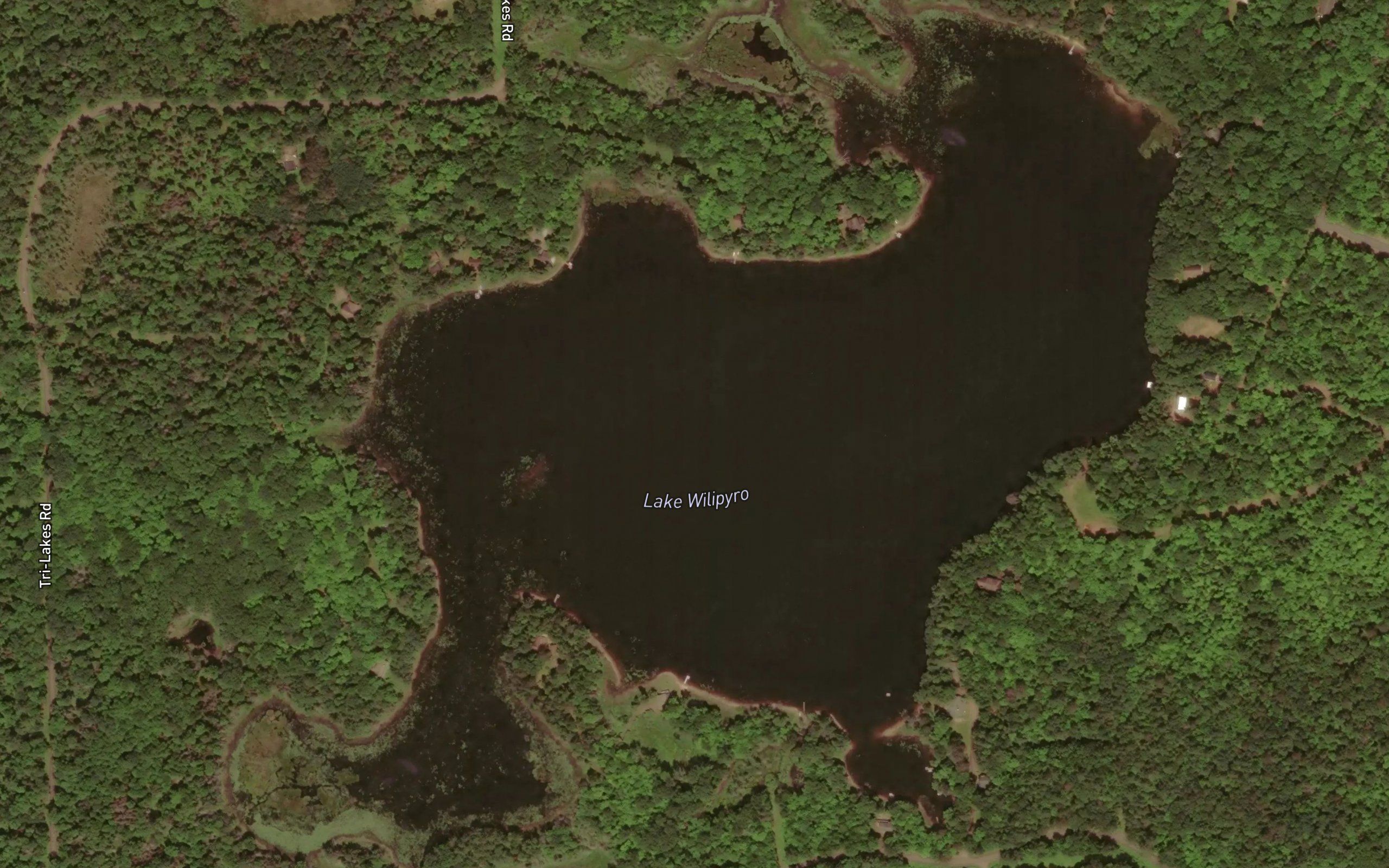 Lake Wilipyro