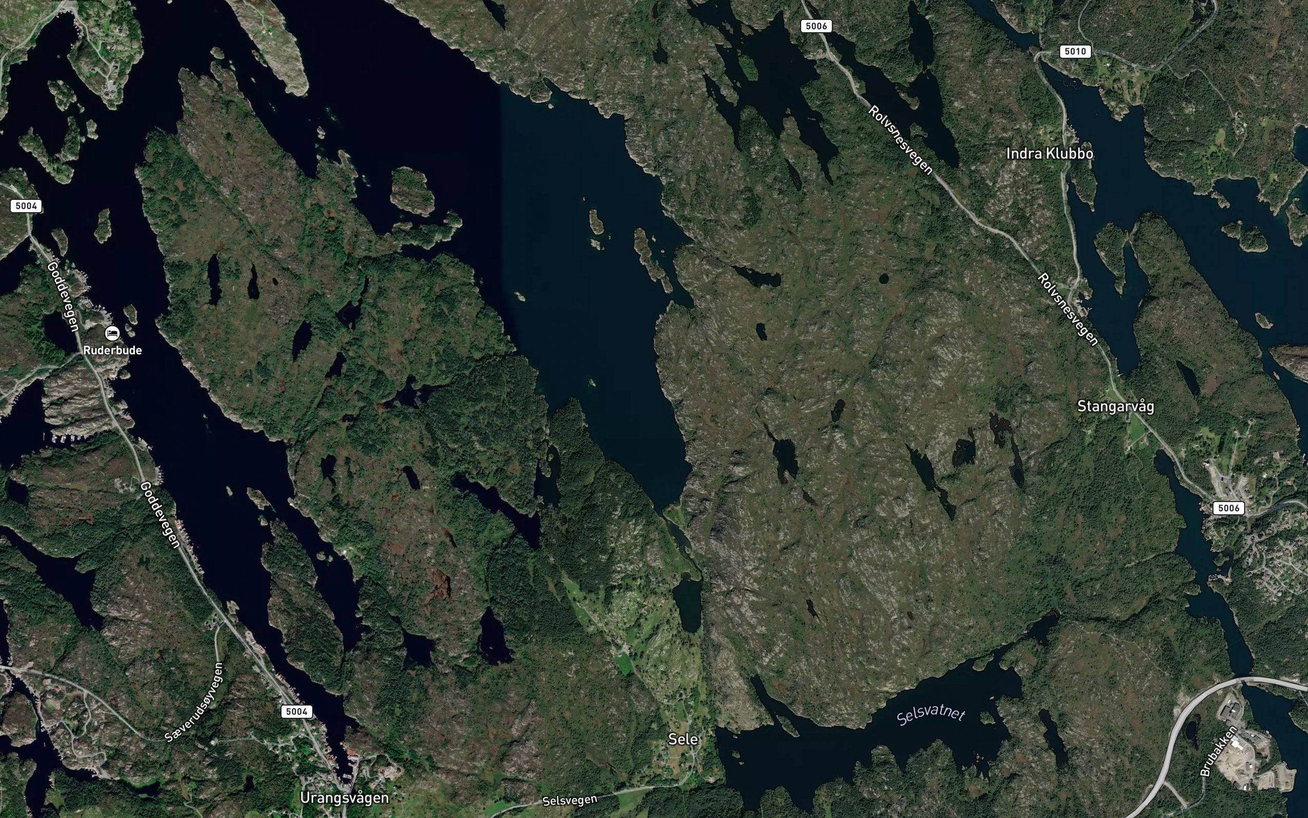 Djupavika