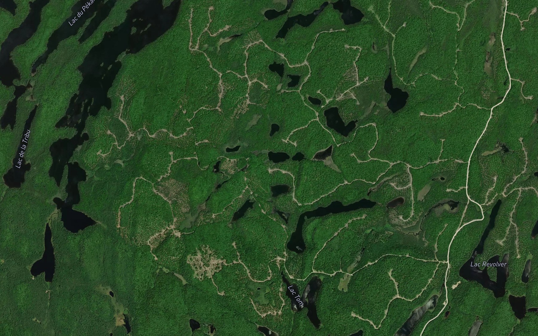 Satellite map of the Lac de l'Ane