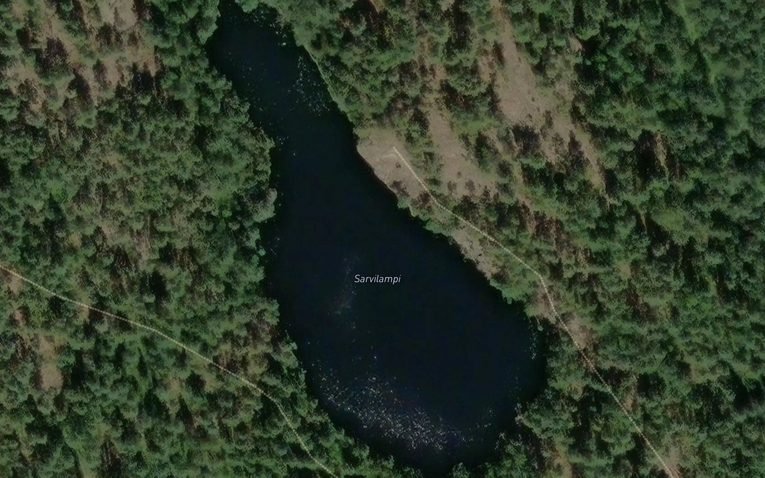 Sarvilampi