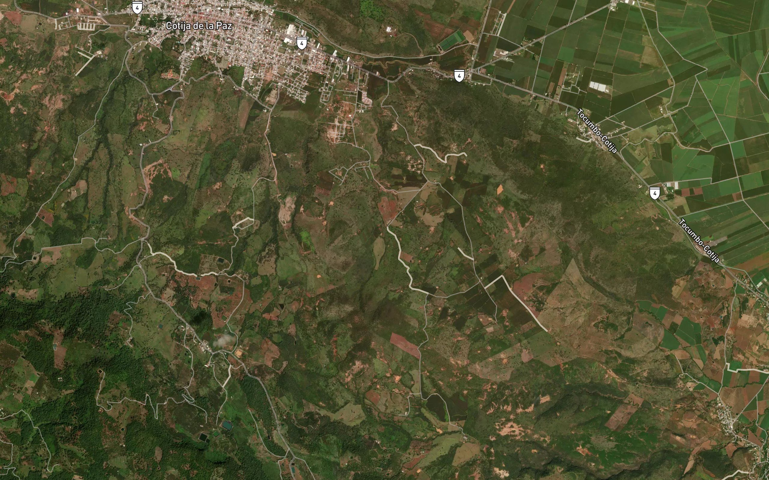 Barranca El Zapote Raizudo