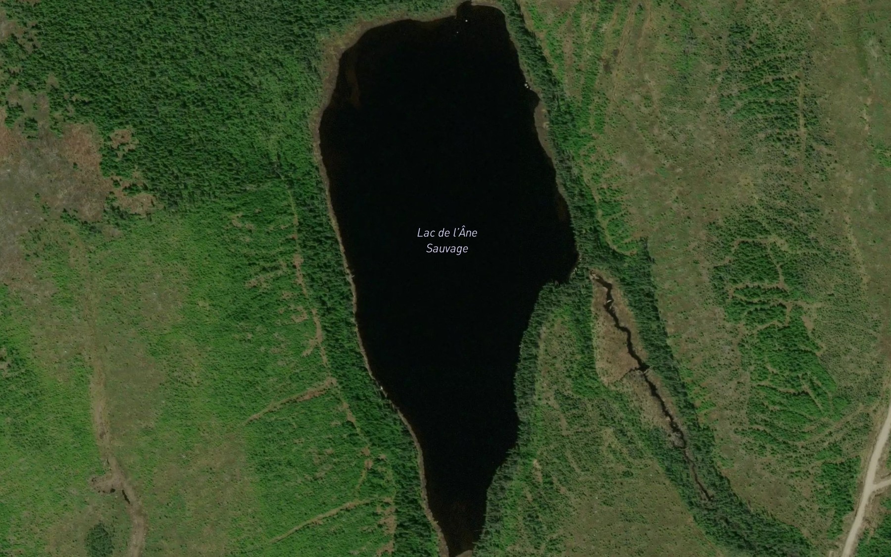 Satellite map of the Lac de l'Ane Sauvage