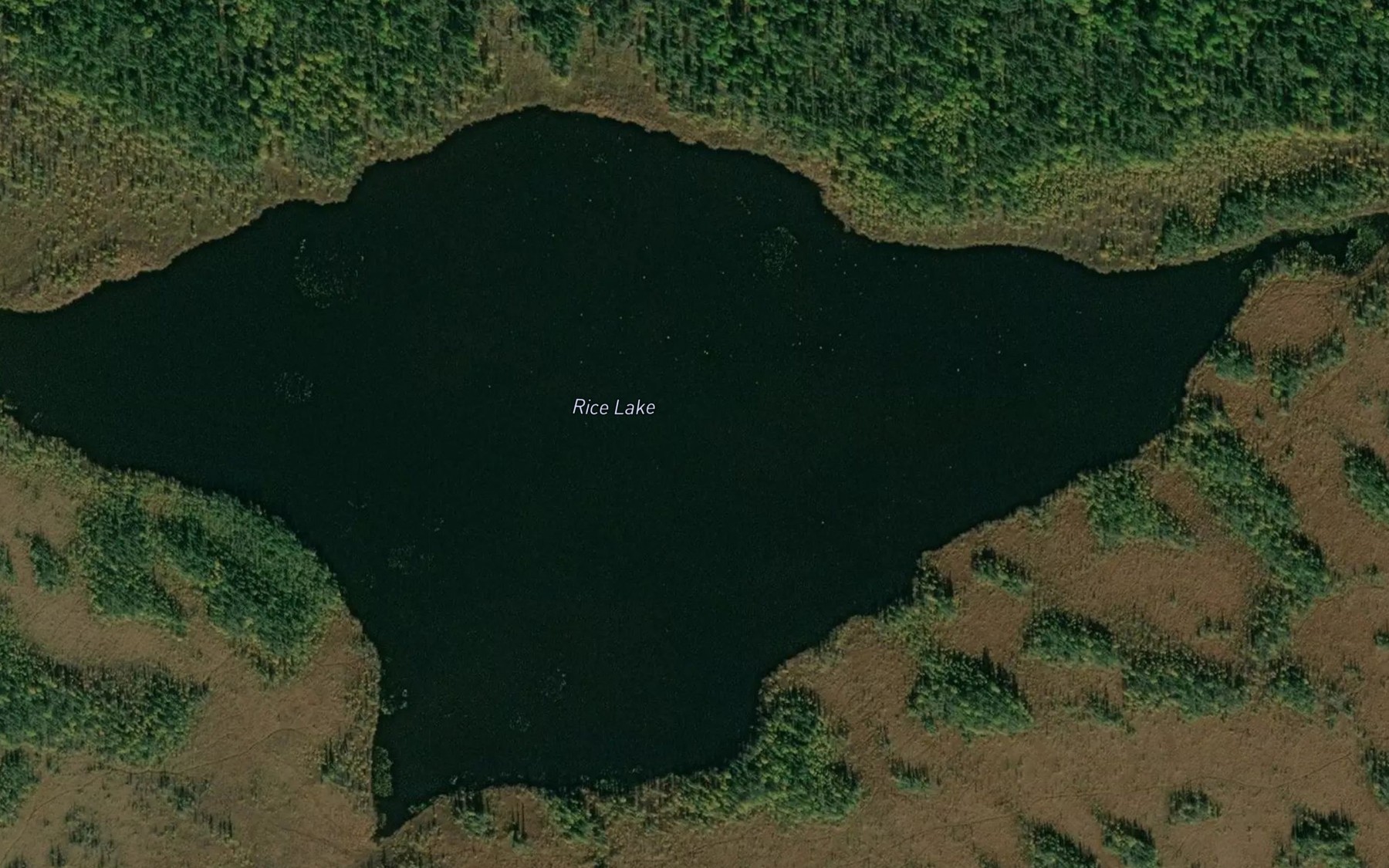 Satellite map of the Rice Lake