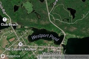 Westport Pond