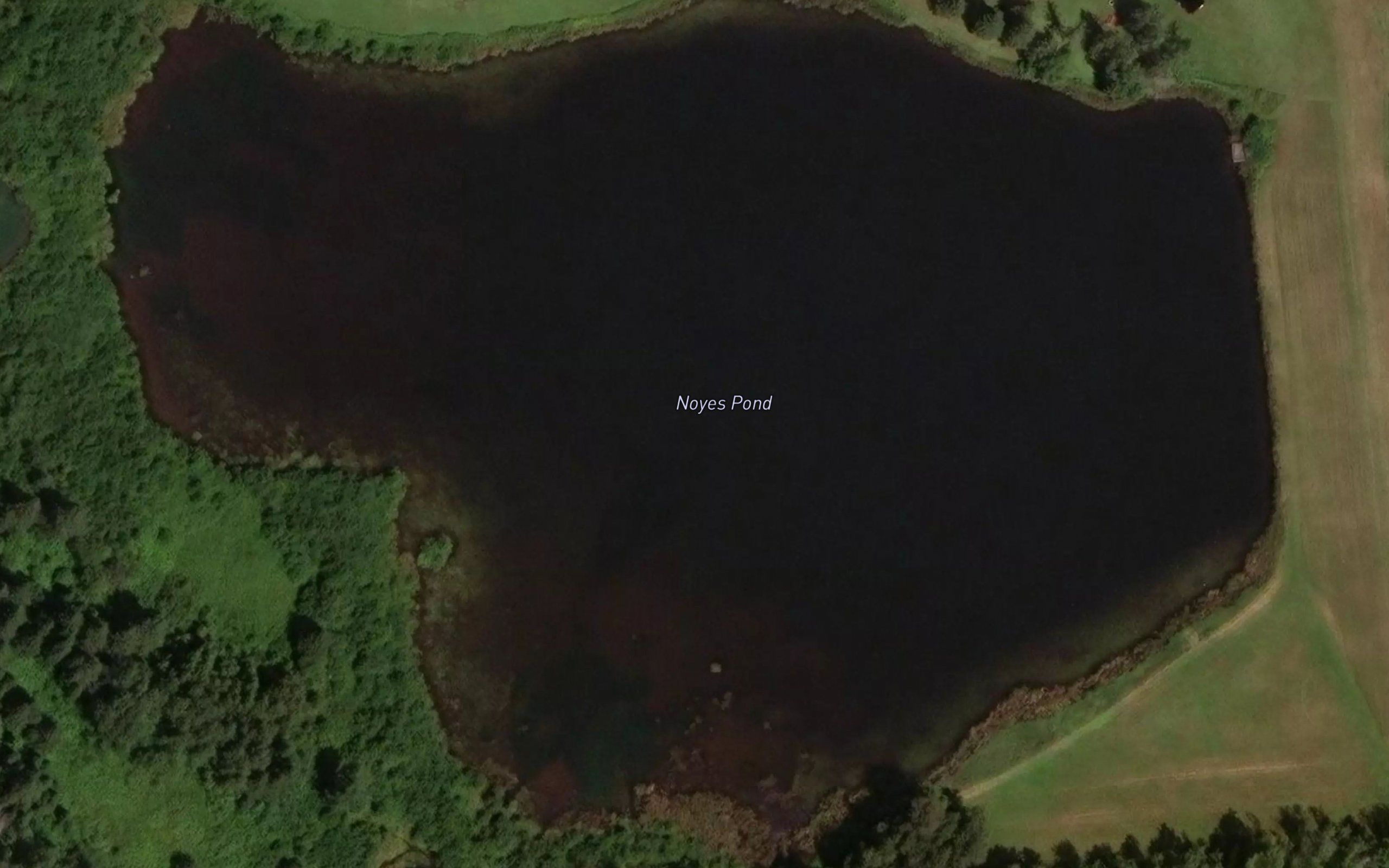 Noyes Pond