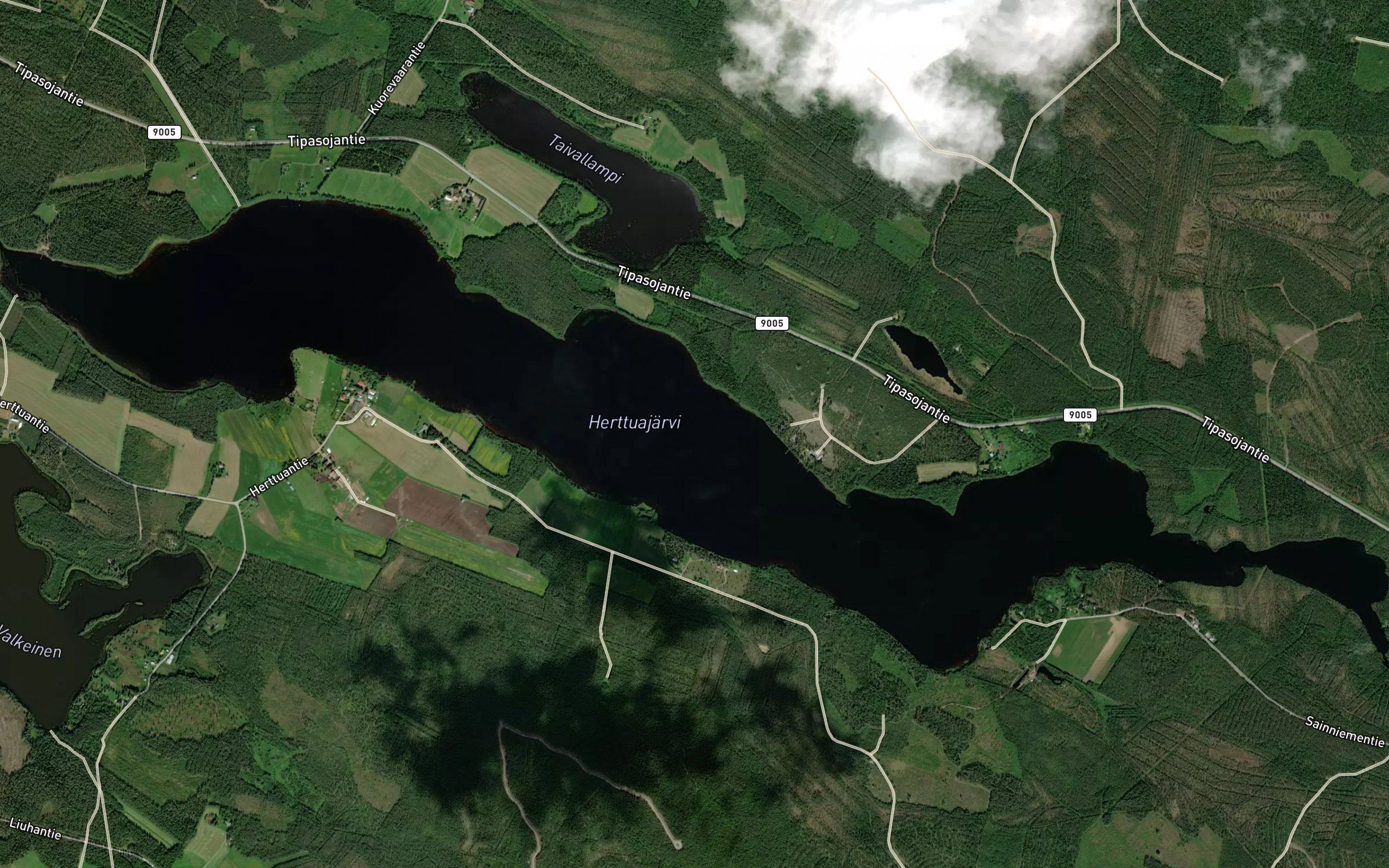 Herttuajarvi